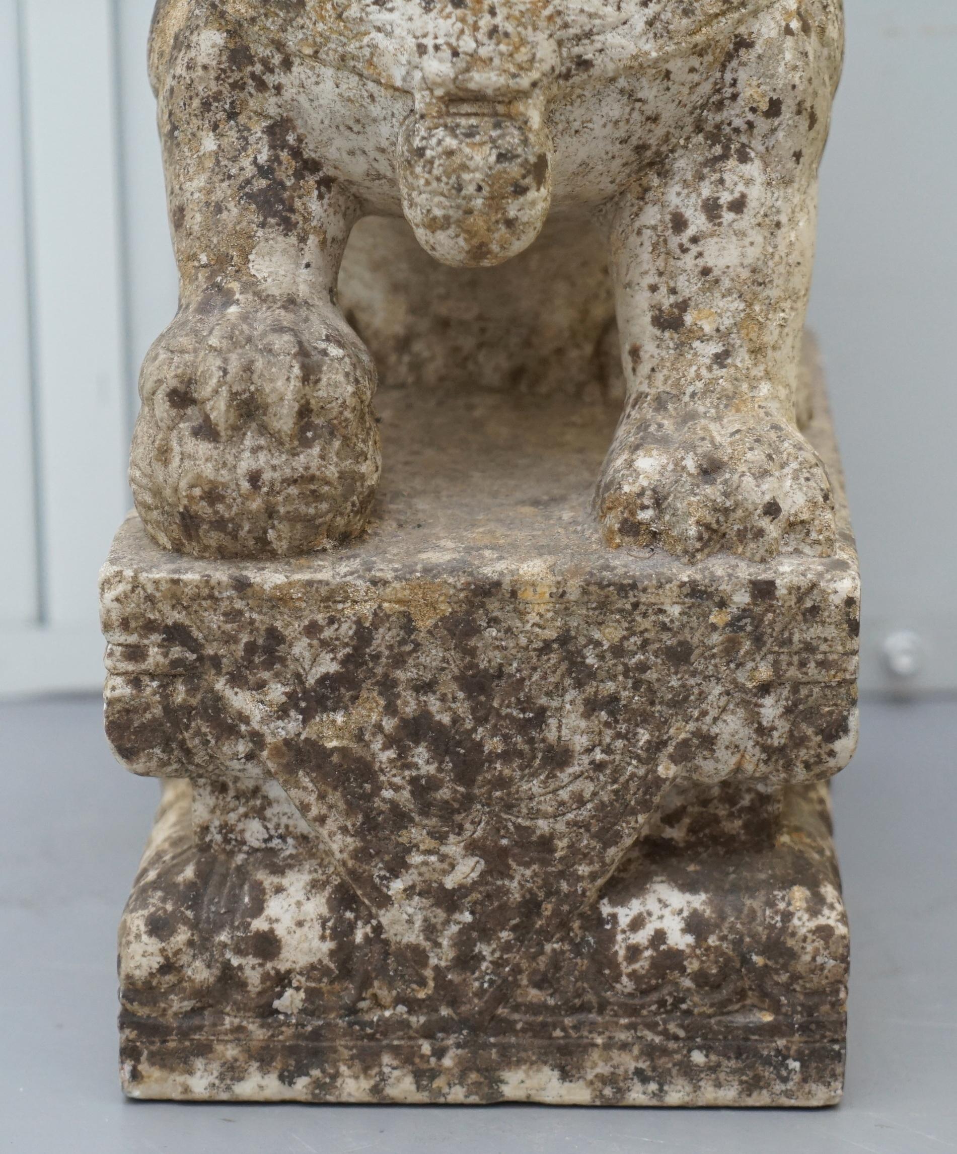 Very Rare Pair of 18th Century Chinese Marble Temple Lion Guardians Foo Dogs 5