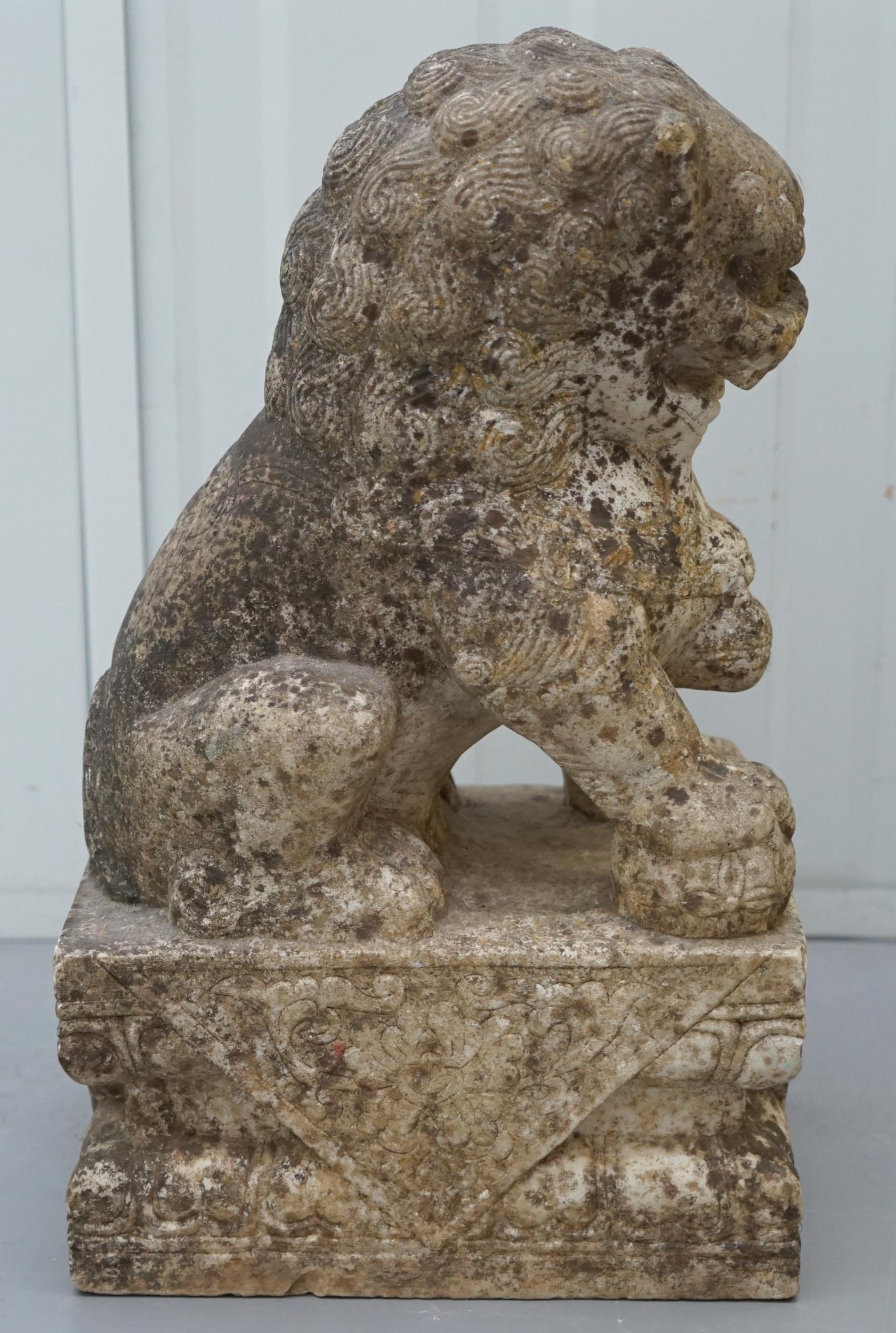 Very Rare Pair of 18th Century Chinese Marble Temple Lion Guardians Foo Dogs 5
