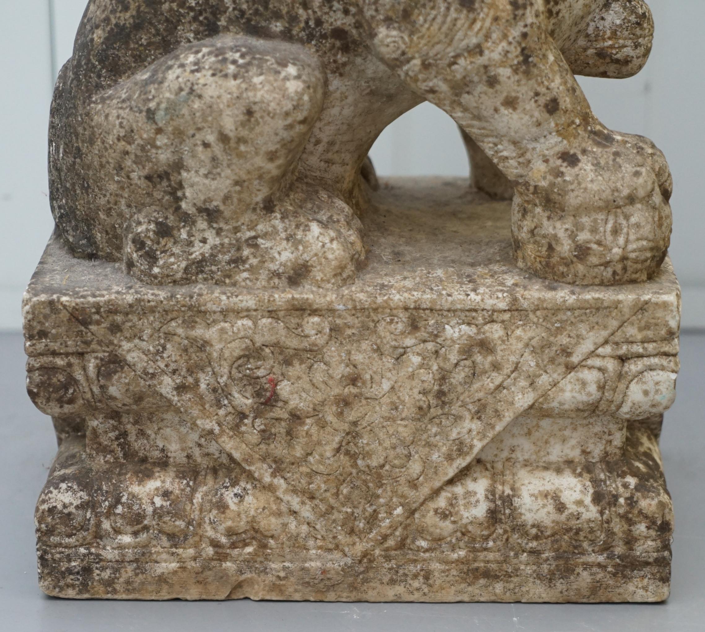 Very Rare Pair of 18th Century Chinese Marble Temple Lion Guardians Foo Dogs 6