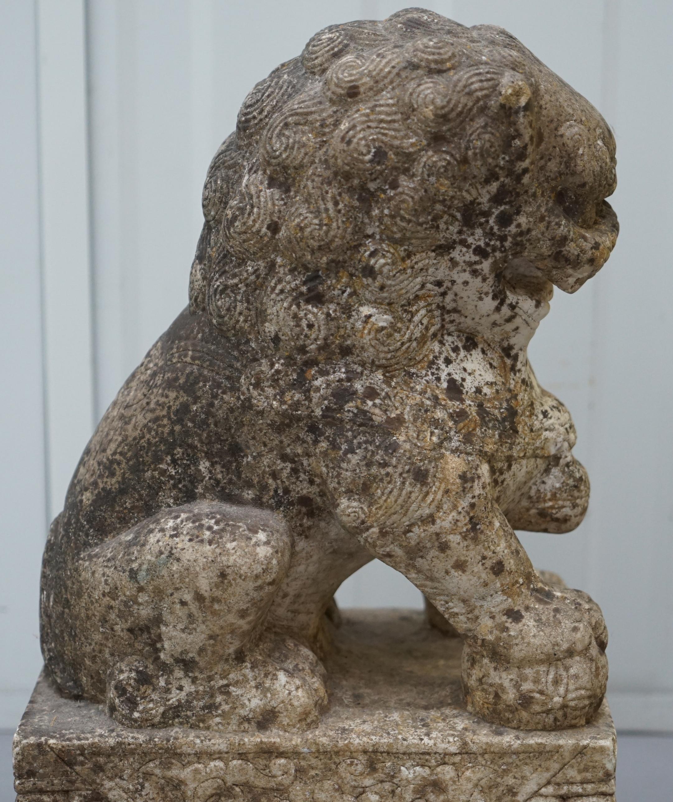 Very Rare Pair of 18th Century Chinese Marble Temple Lion Guardians Foo Dogs 7