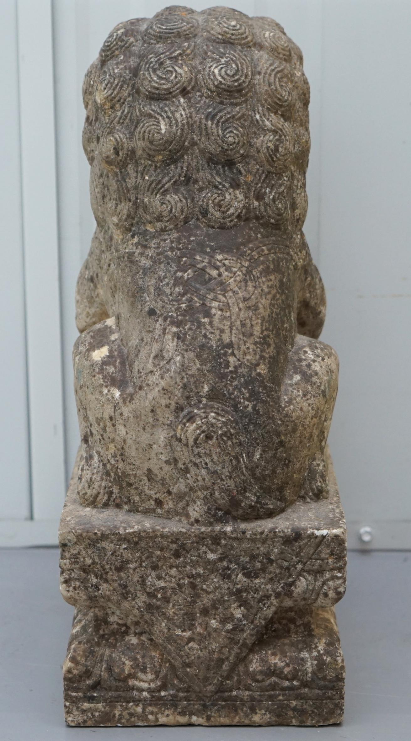 Very Rare Pair of 18th Century Chinese Marble Temple Lion Guardians Foo Dogs 9