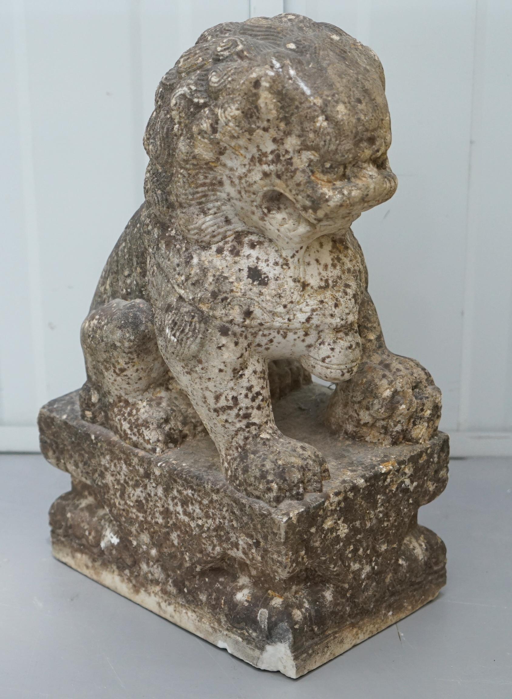 Very Rare Pair of 18th Century Chinese Marble Temple Lion Guardians Foo Dogs 12