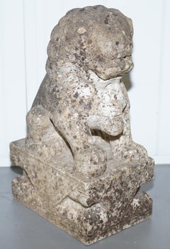 Very Rare Pair of 18th Century Chinese Marble Temple Lion Guardians Foo Dogs