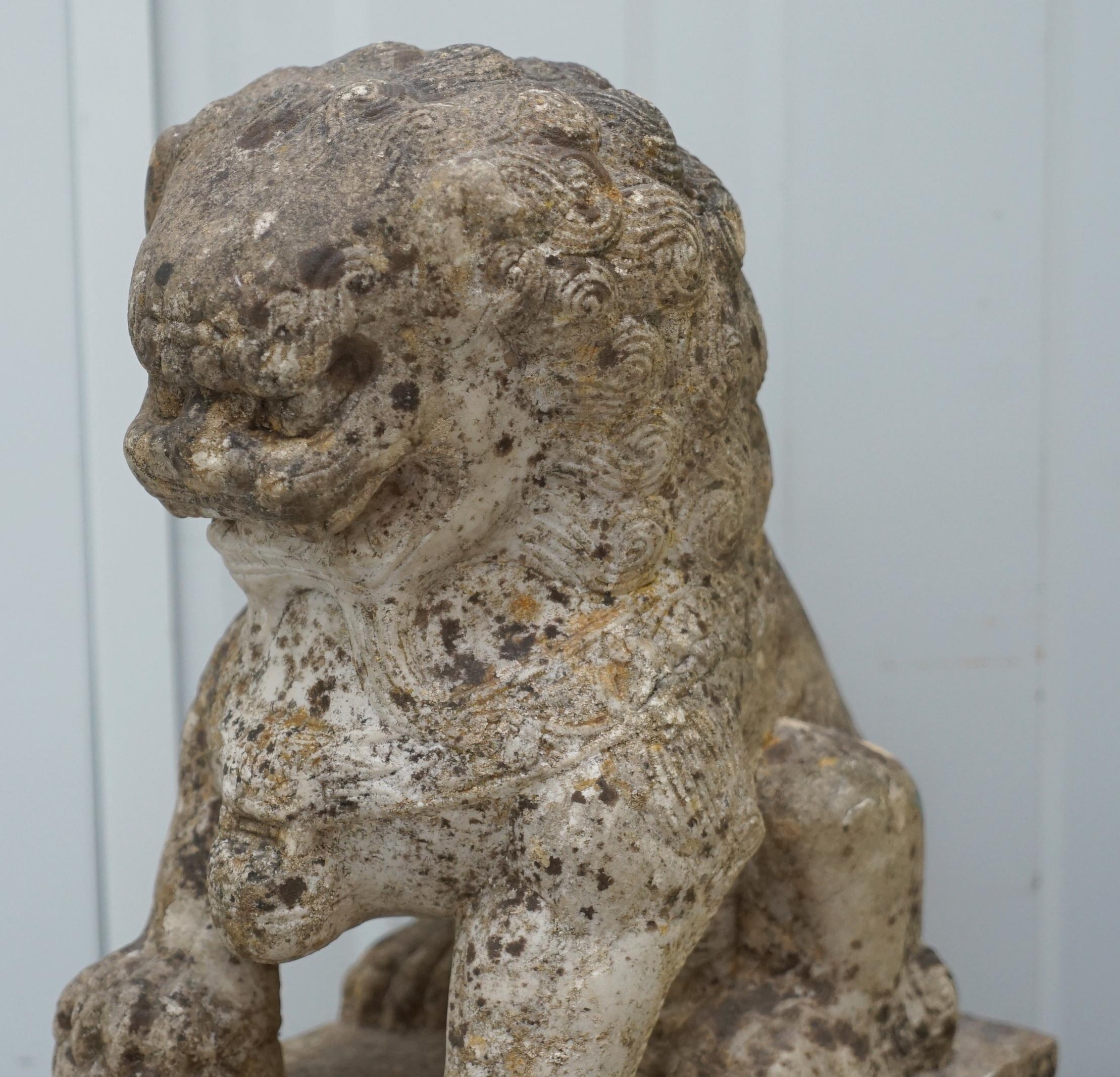 18th Century and Earlier Very Rare Pair of 18th Century Chinese Marble Temple Lion Guardians Foo Dogs