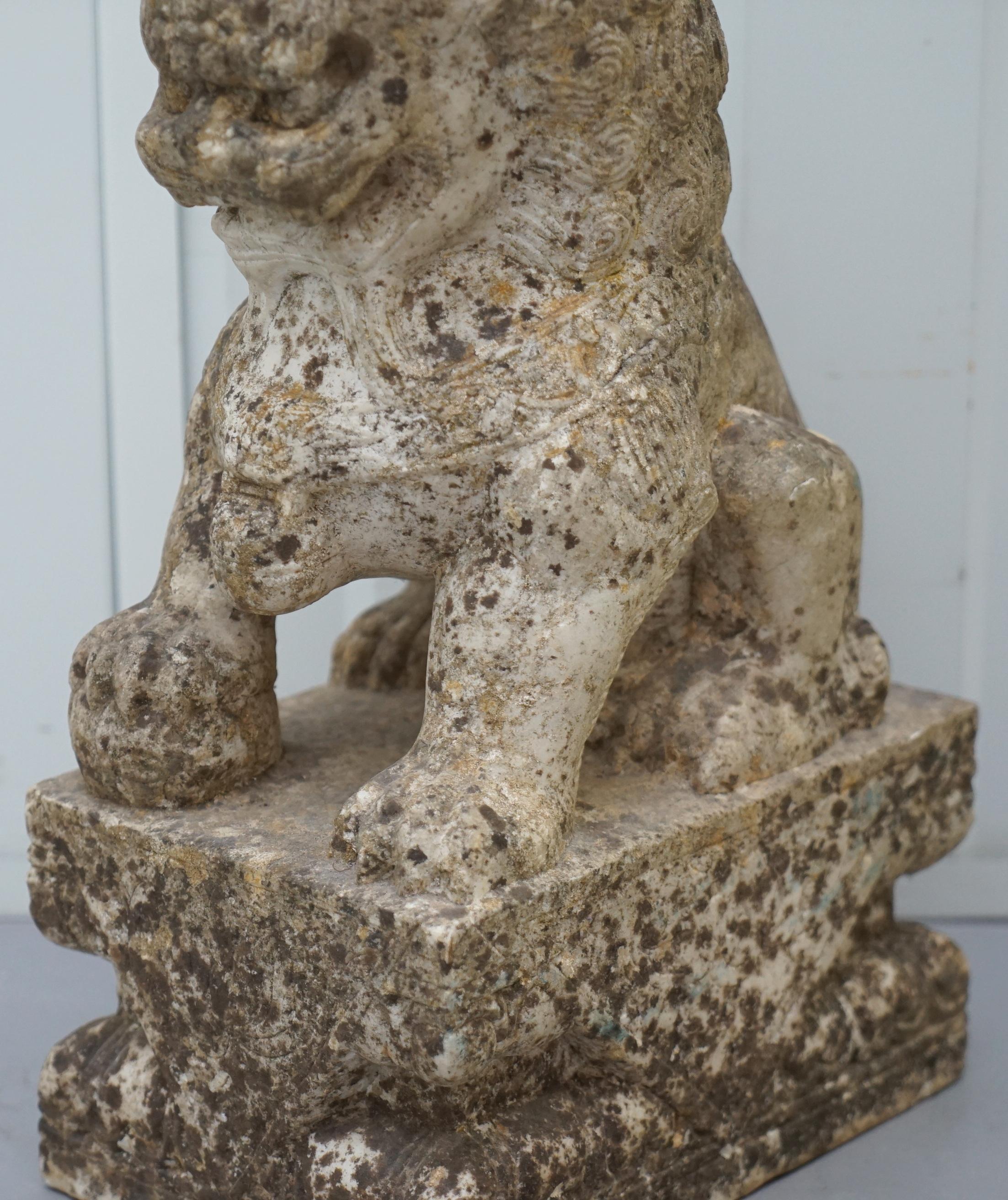 Very Rare Pair of 18th Century Chinese Marble Temple Lion Guardians Foo Dogs 1