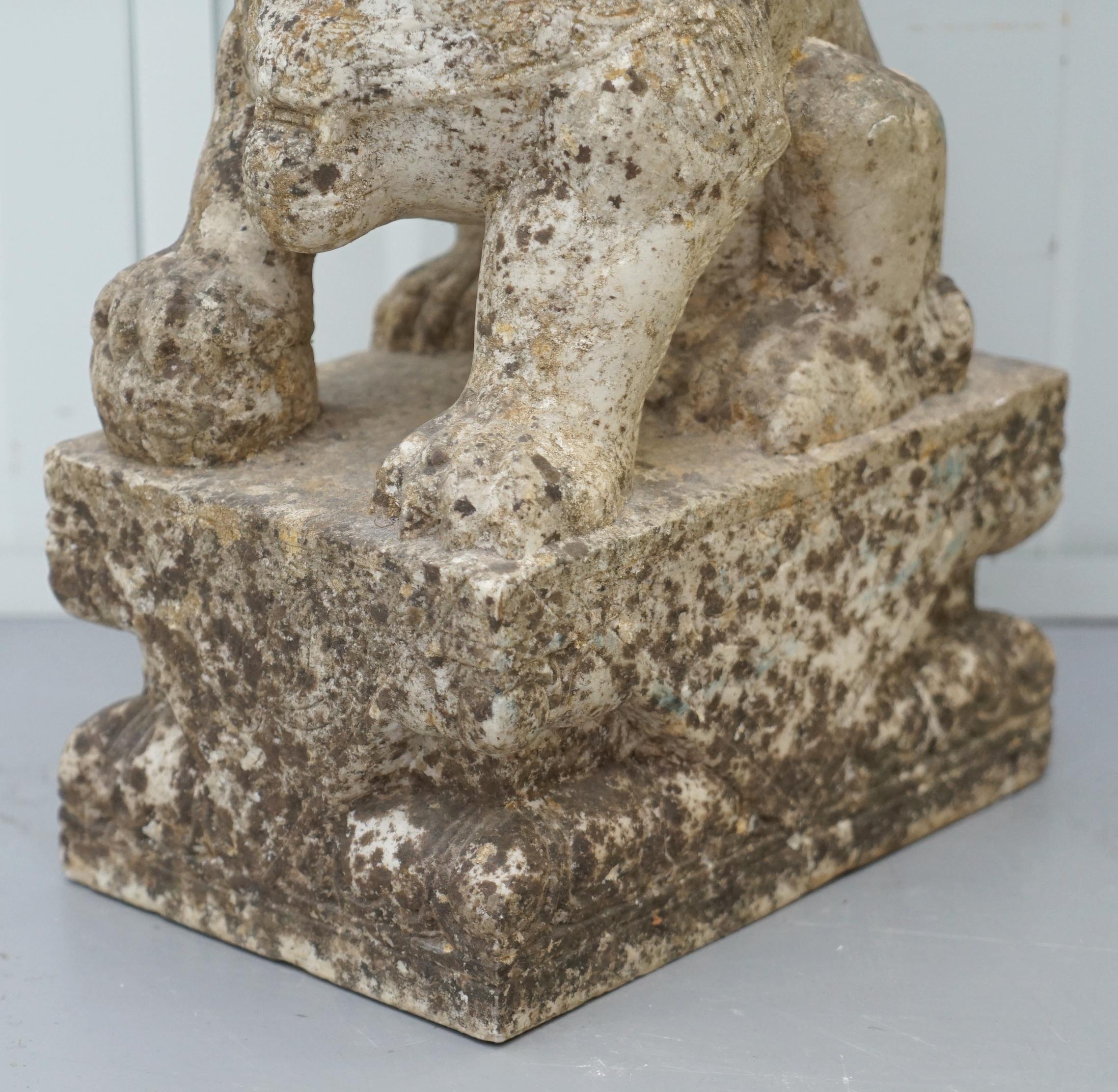 Very Rare Pair of 18th Century Chinese Marble Temple Lion Guardians Foo Dogs 1