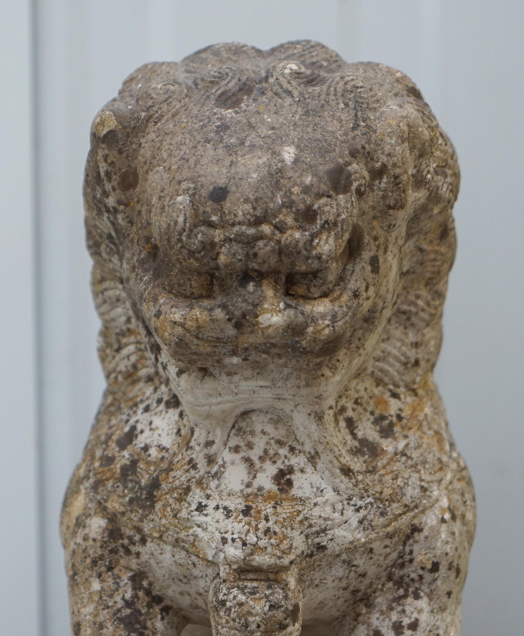 Very Rare Pair of 18th Century Chinese Marble Temple Lion Guardians Foo Dogs 2