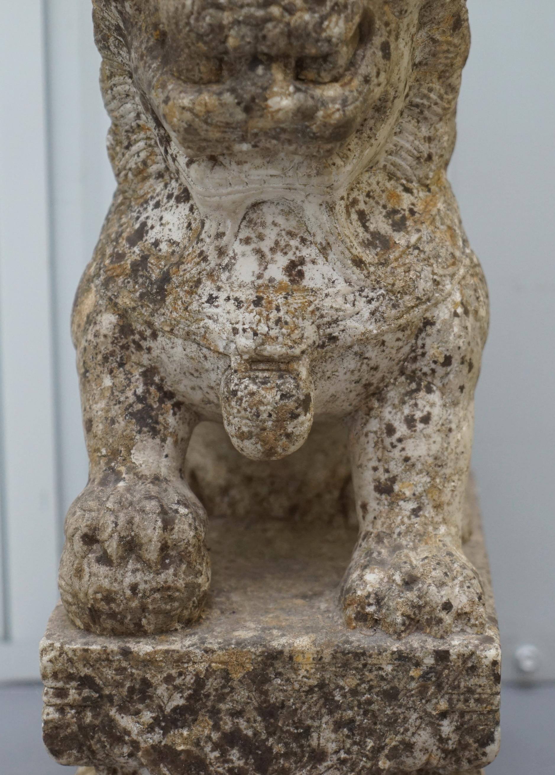 Very Rare Pair of 18th Century Chinese Marble Temple Lion Guardians Foo Dogs 4