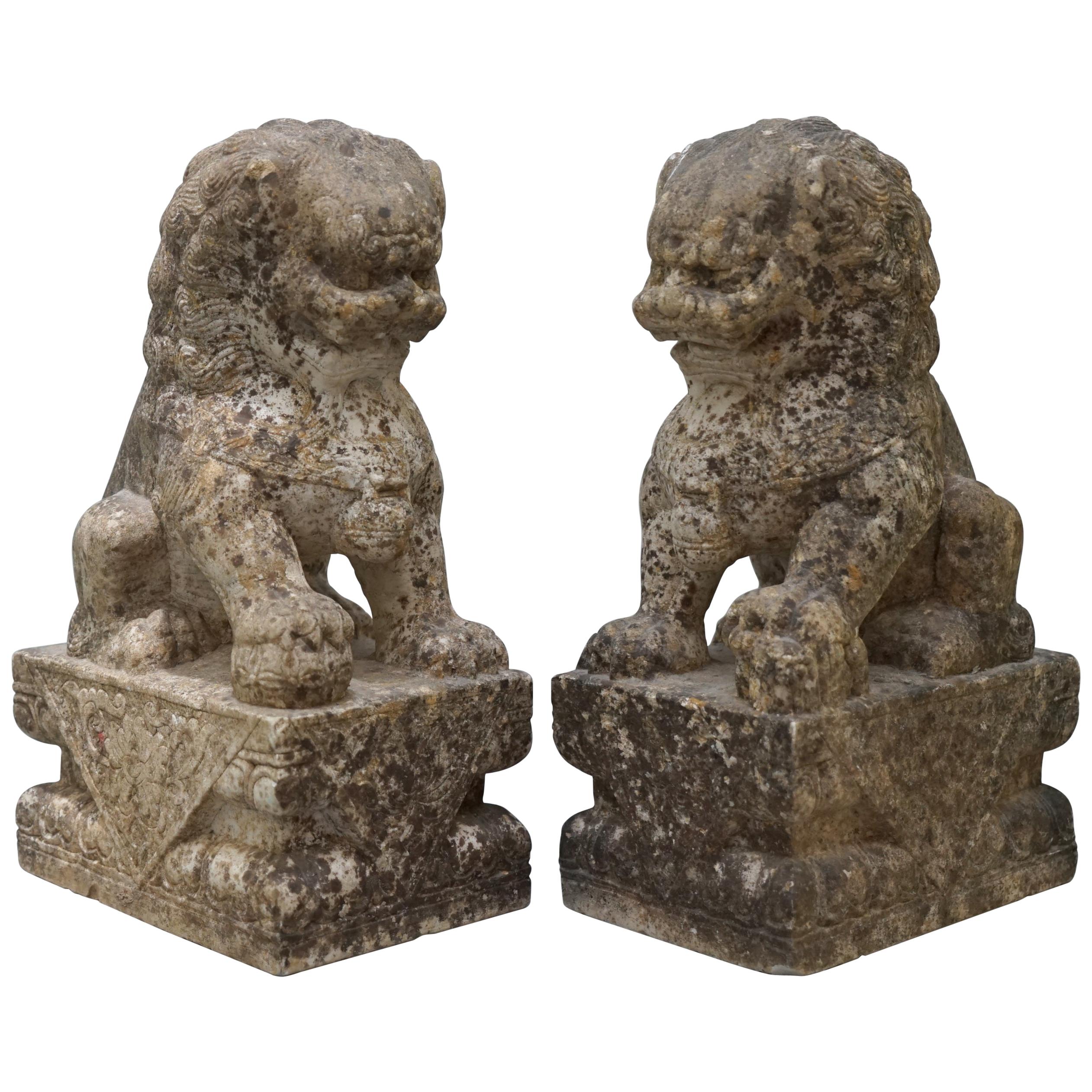 Very Rare Pair of 18th Century Chinese Marble Temple Lion Guardians Foo Dogs