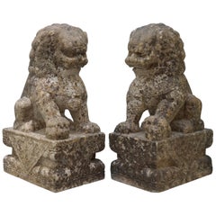 Paire très rare de chiens Foo en marbre du 18ème siècle:: gardiens de temple en forme de lion