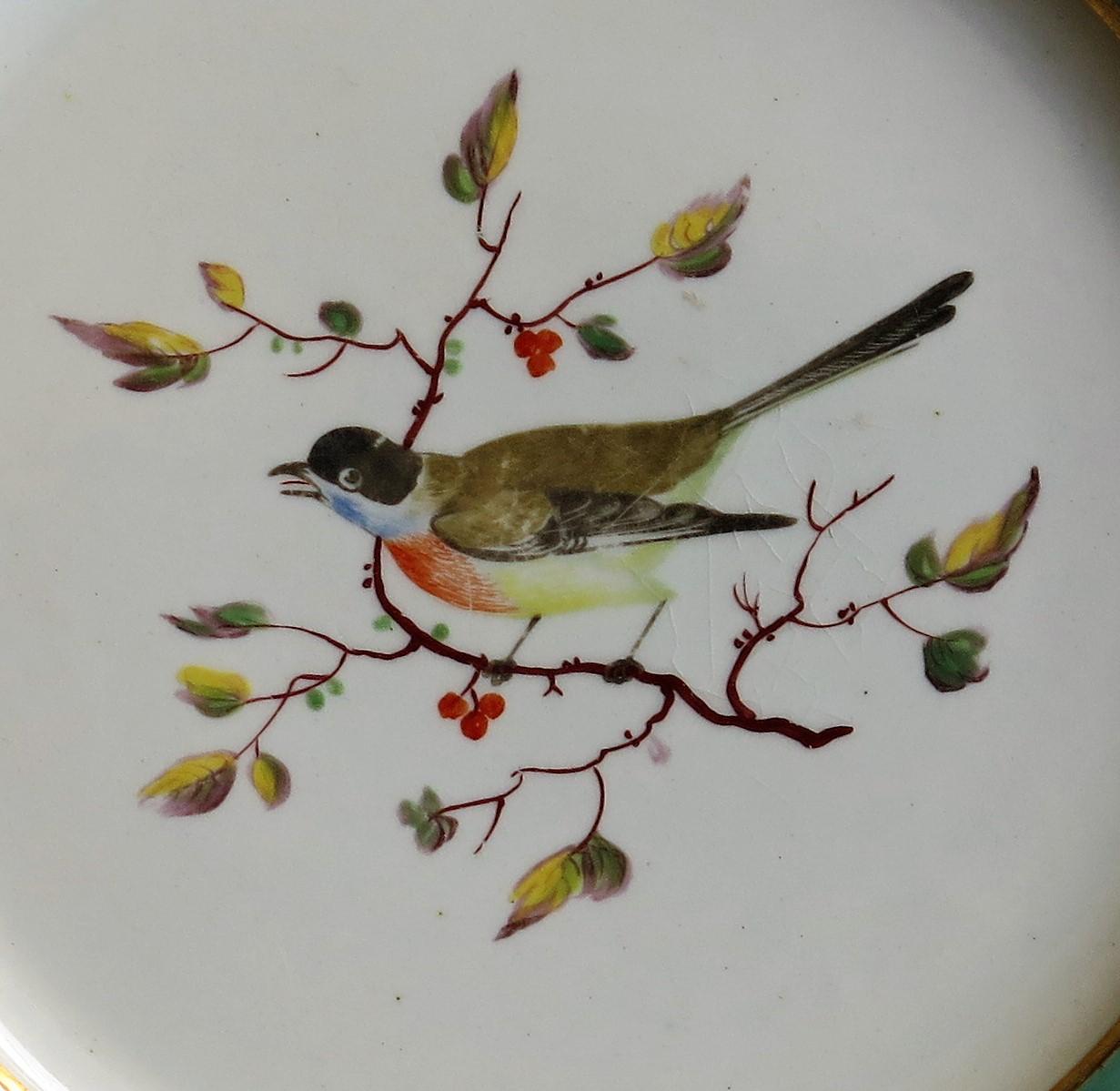Very Rare Pair of Mason's Ironstone Dinner Plates Hand Painted Birds, circa 1818 5