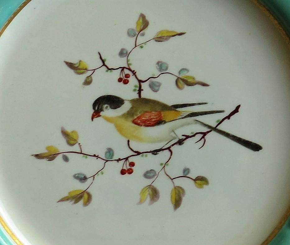 Very Rare Pair of Mason's Ironstone Dinner Plates Hand Painted Birds, circa 1818 6