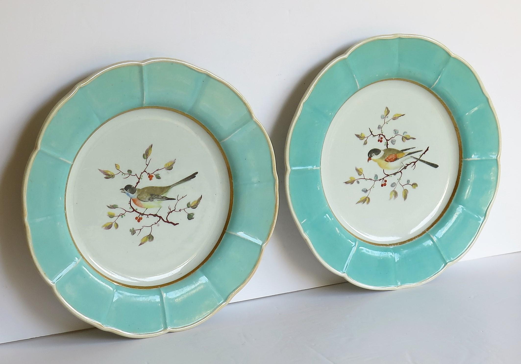 This is a very rare pair of ironstone pottery large Plates or Dishes, hand decorated with different birds perched on a cherry tree branch, produced by the Mason's Factory at Lane Delph, Staffordshire, England, circa 1815 to 1820. 

The plates are
