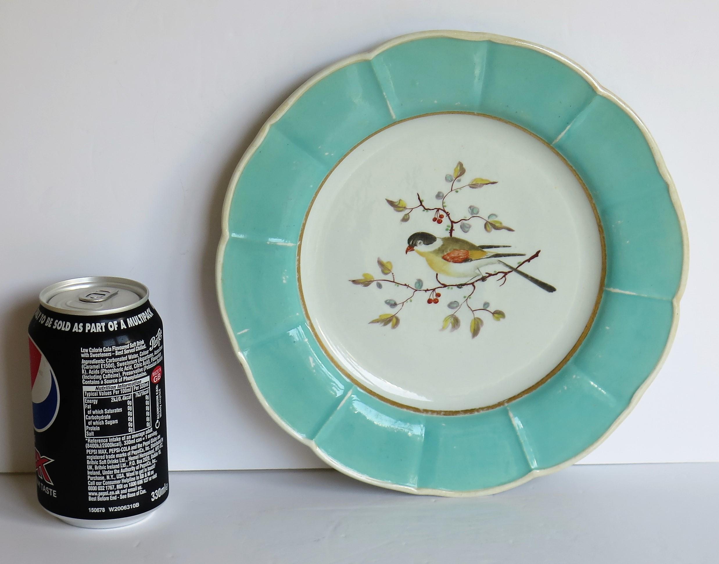 Very Rare Pair of Mason's Ironstone Dinner Plates Hand Painted Birds, circa 1818 12