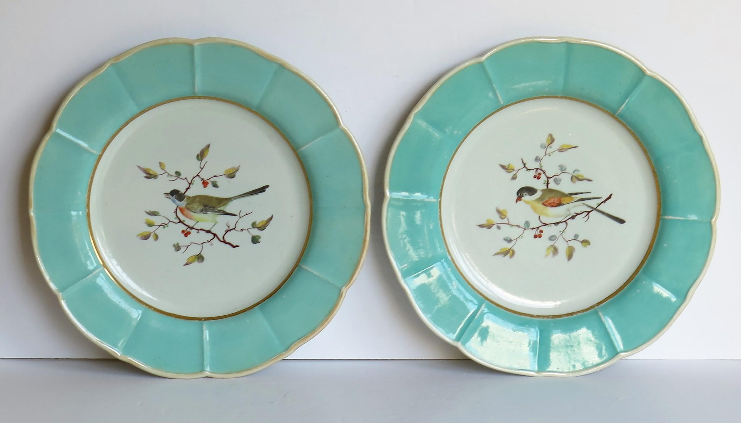 Georgian Very Rare Pair of Mason's Ironstone Dinner Plates Hand Painted Birds, circa 1818