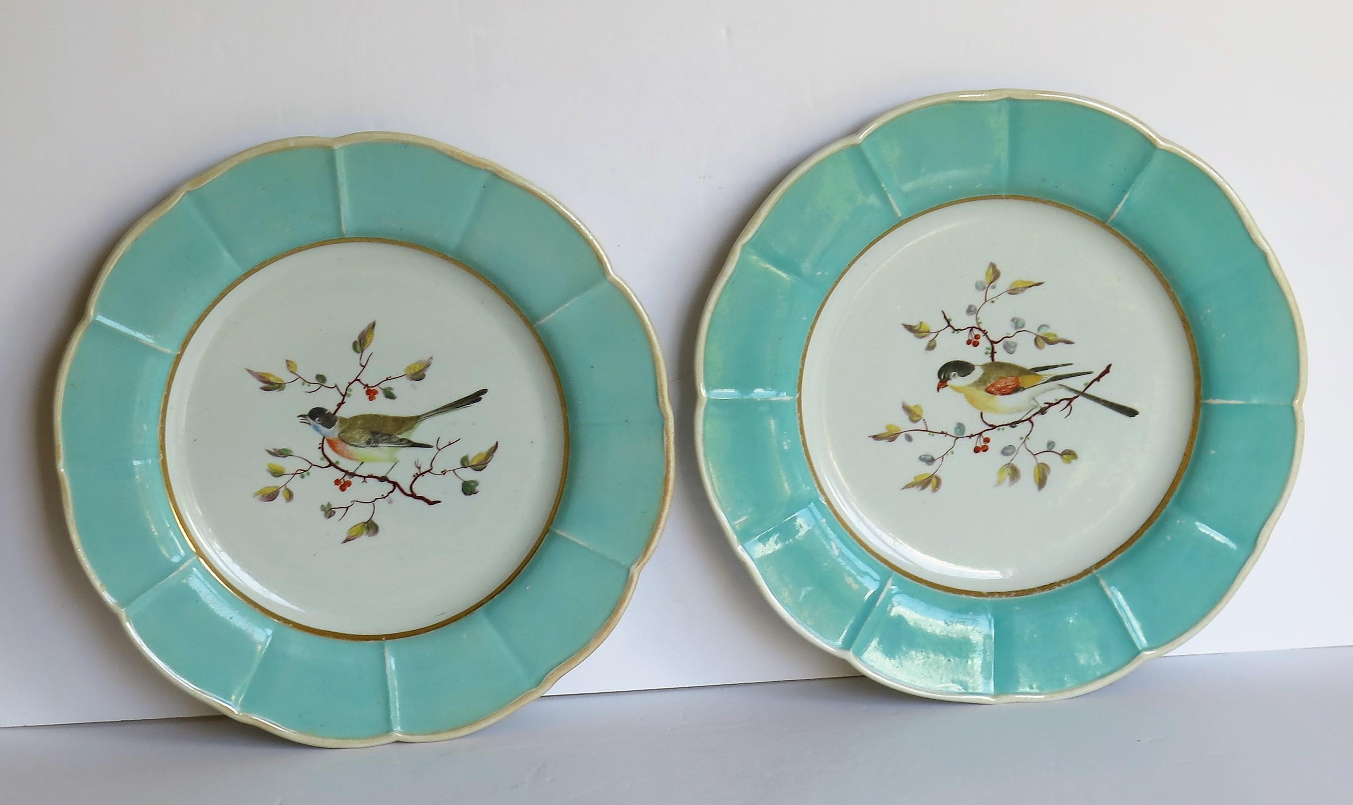 English Very Rare Pair of Mason's Ironstone Dinner Plates Hand Painted Birds, circa 1818