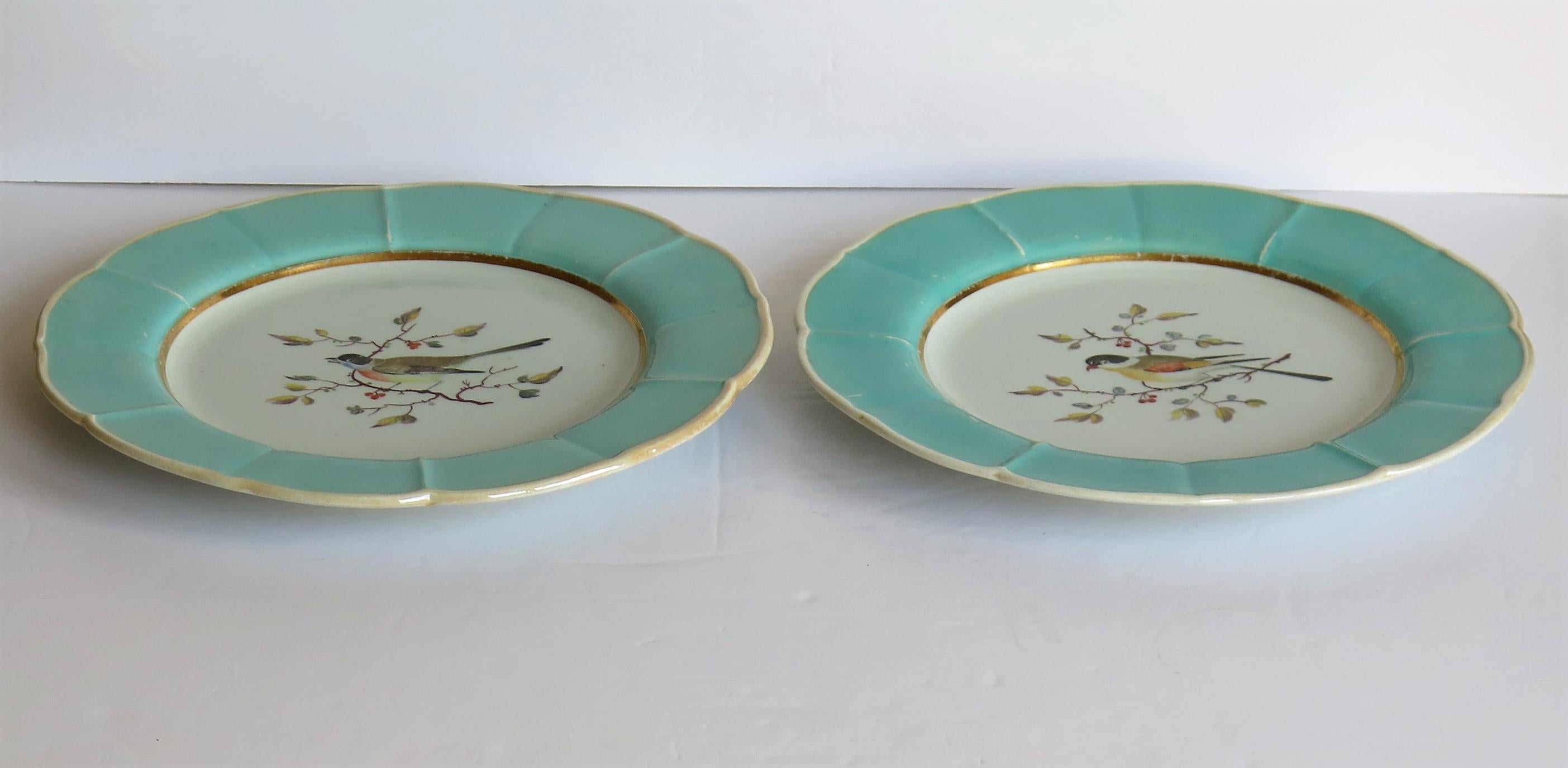 Hand-Painted Very Rare Pair of Mason's Ironstone Dinner Plates Hand Painted Birds, circa 1818