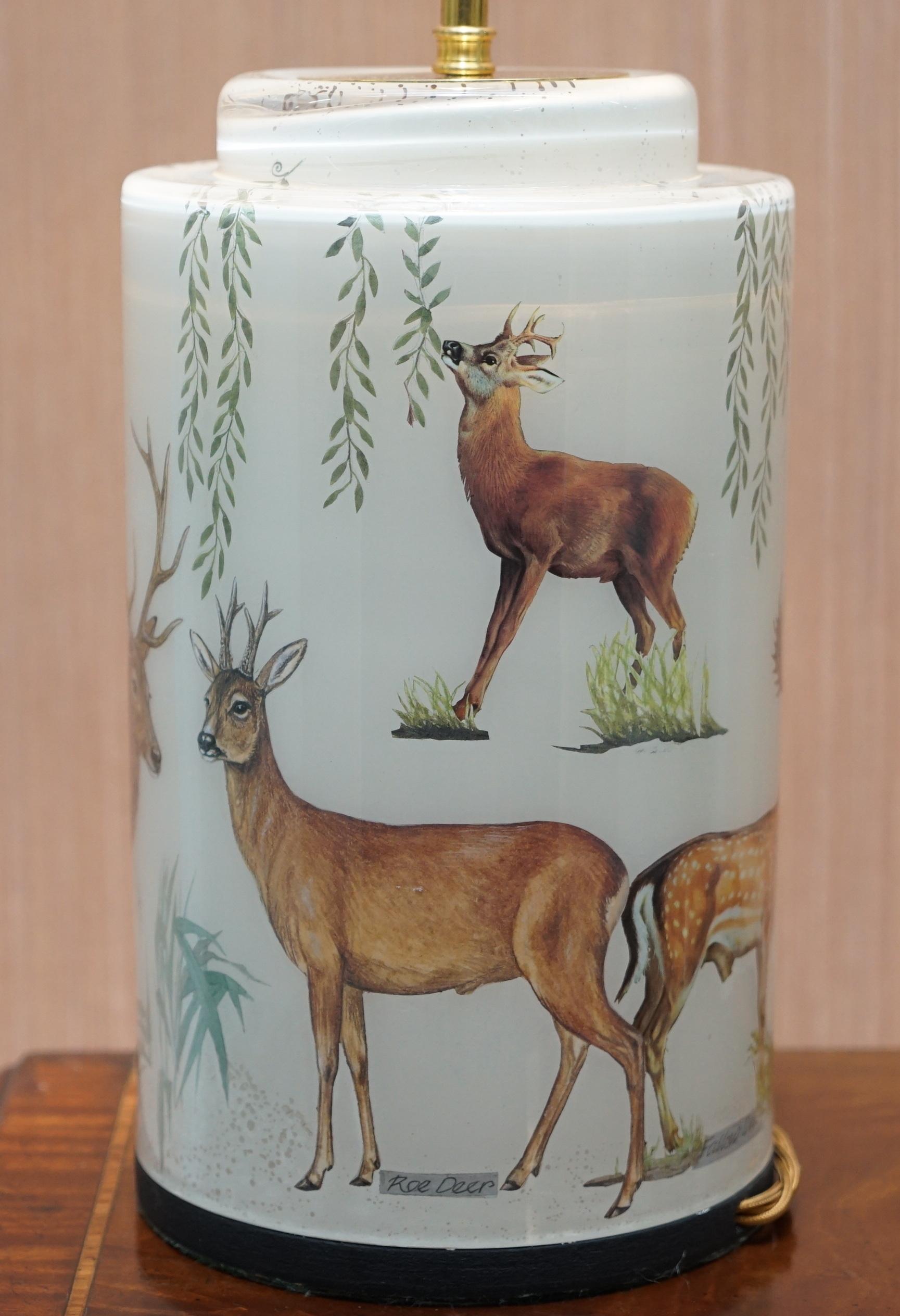 Modern Very Rare Potichomania Studies Lamp Illustrated by Diana Mayo of Deer Stages Etc