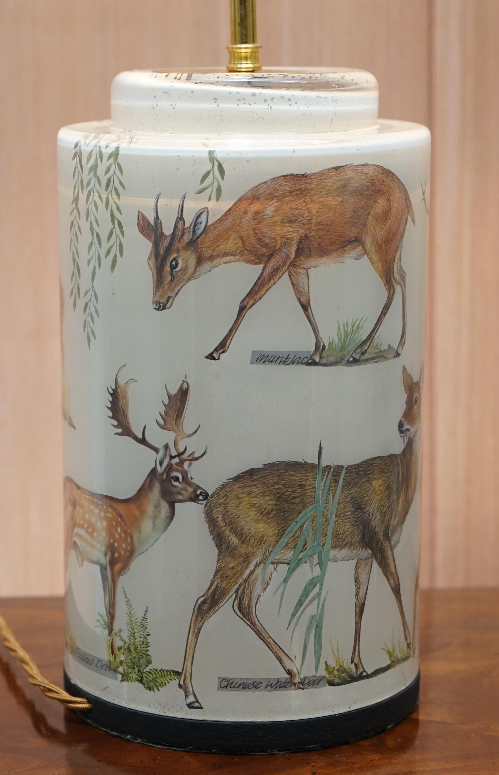 Hand-Crafted Very Rare Potichomania Studies Lamp Illustrated by Diana Mayo of Deer Stages Etc