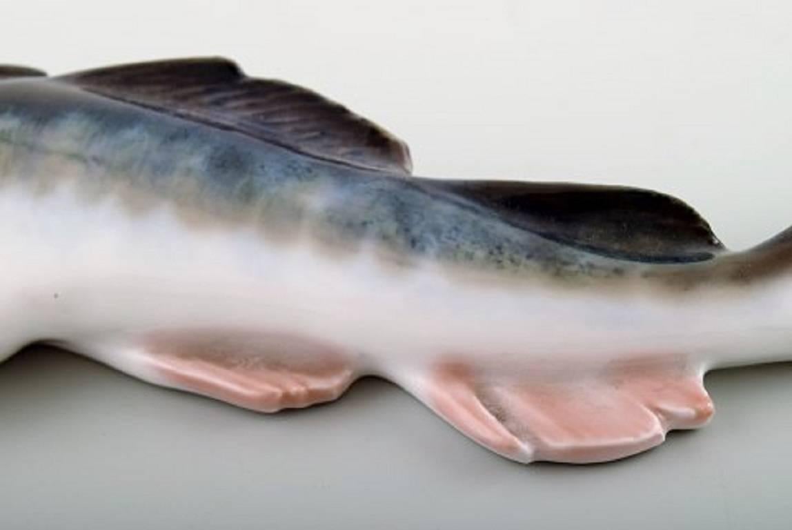 Danish Very Rare Royal Copenhagen Fish Figurine in the Form of Cod # 457