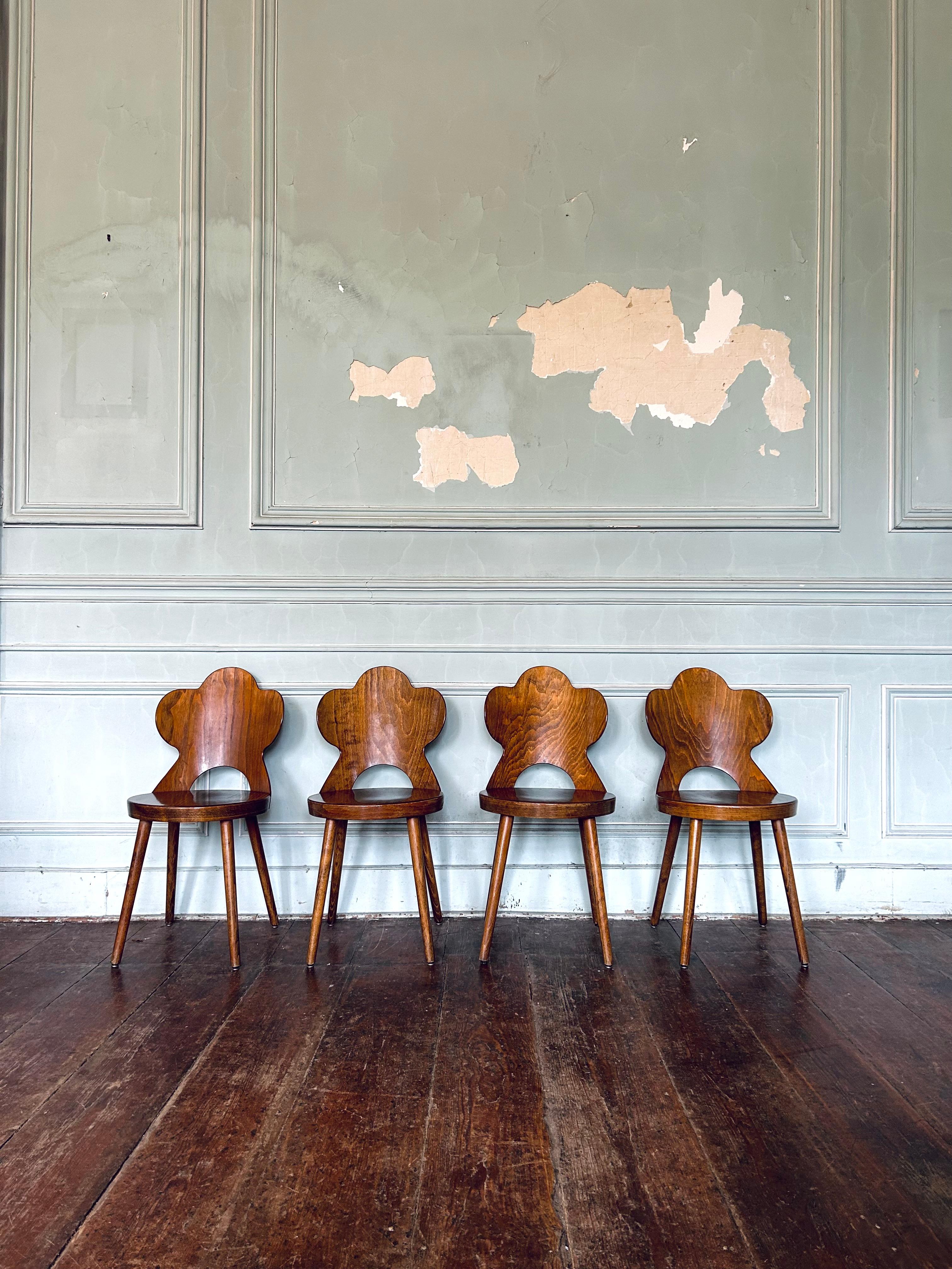 Sehr seltener Satz Baumann 