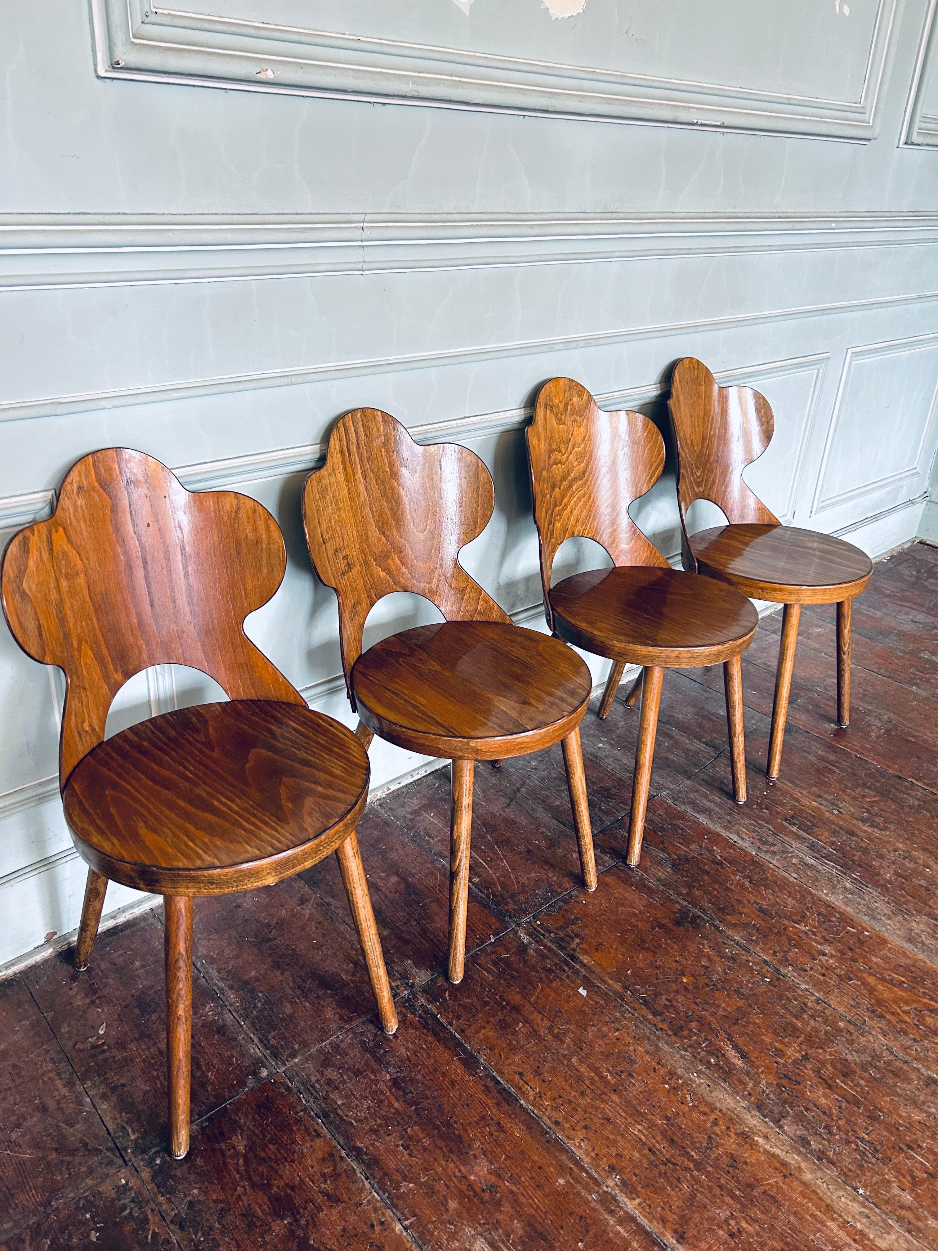 Sehr seltener Satz Baumann 