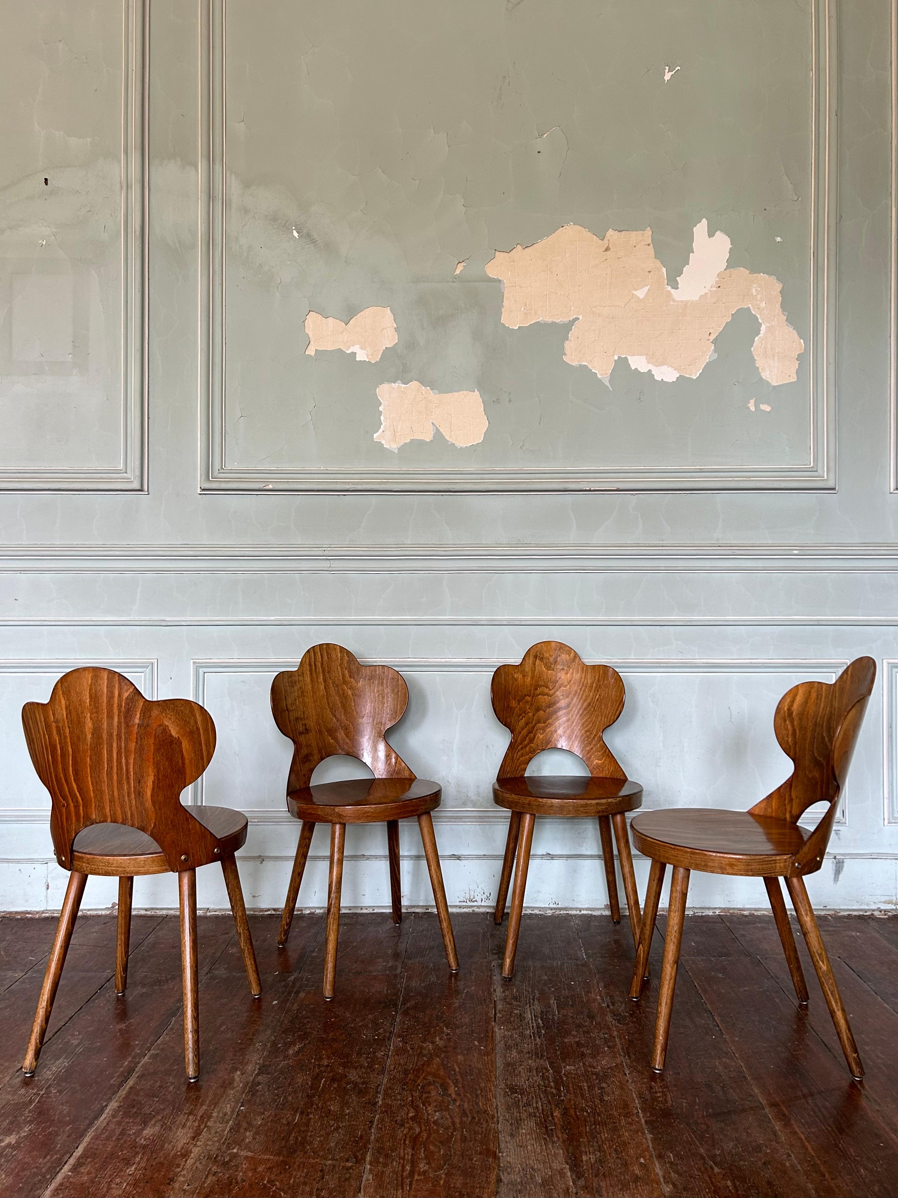 Sehr seltener Satz Baumann 