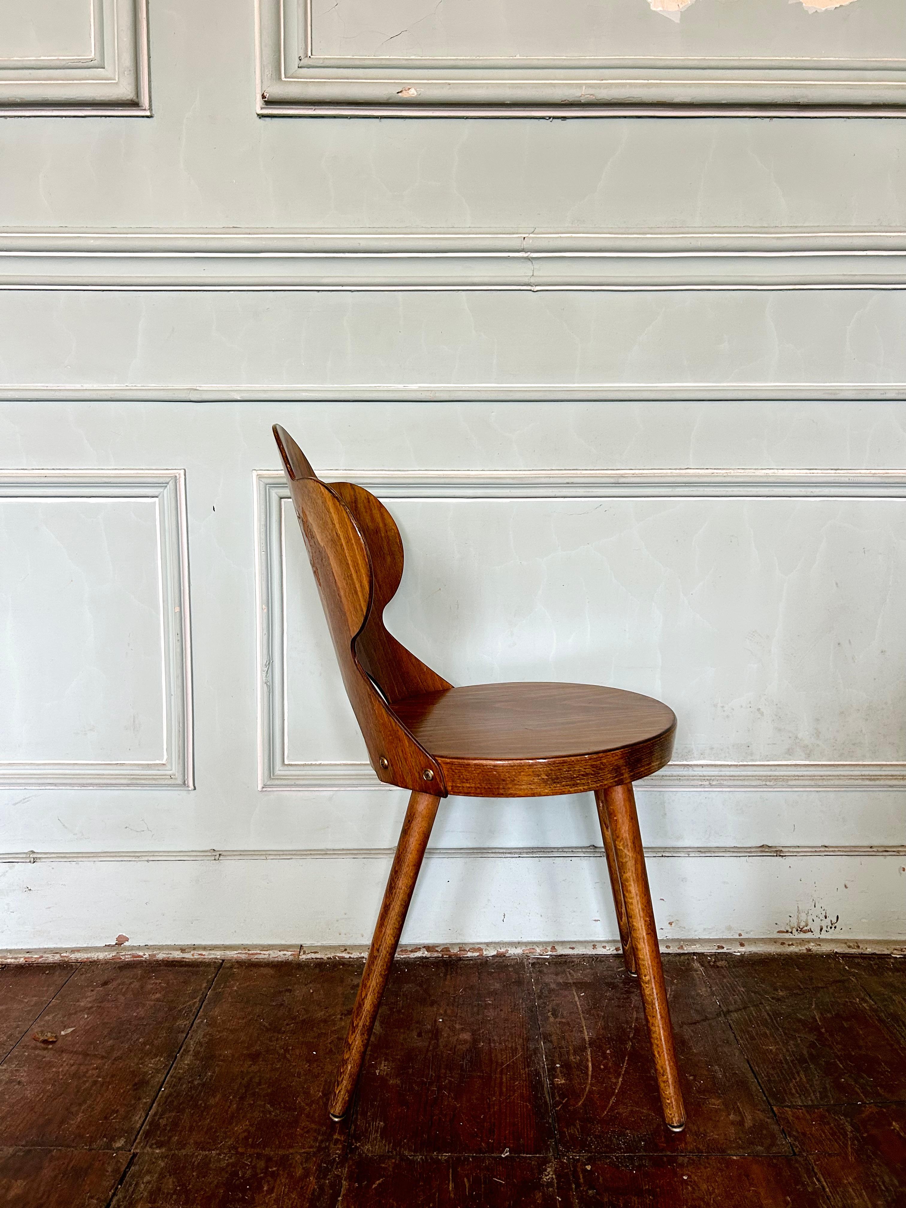 Sehr seltener Satz Baumann 