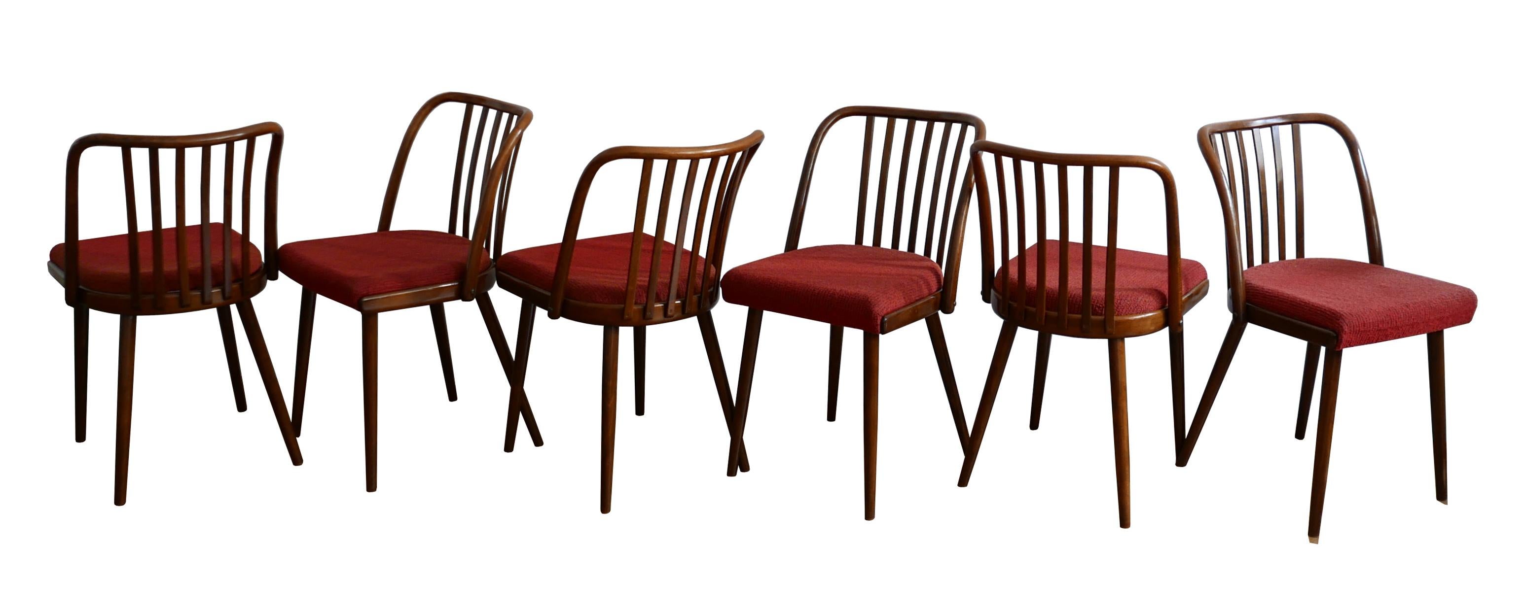 Very Rare Set of Six Dining Chairs by Antonin Suman for Jinota Sobeslav For Sale 3