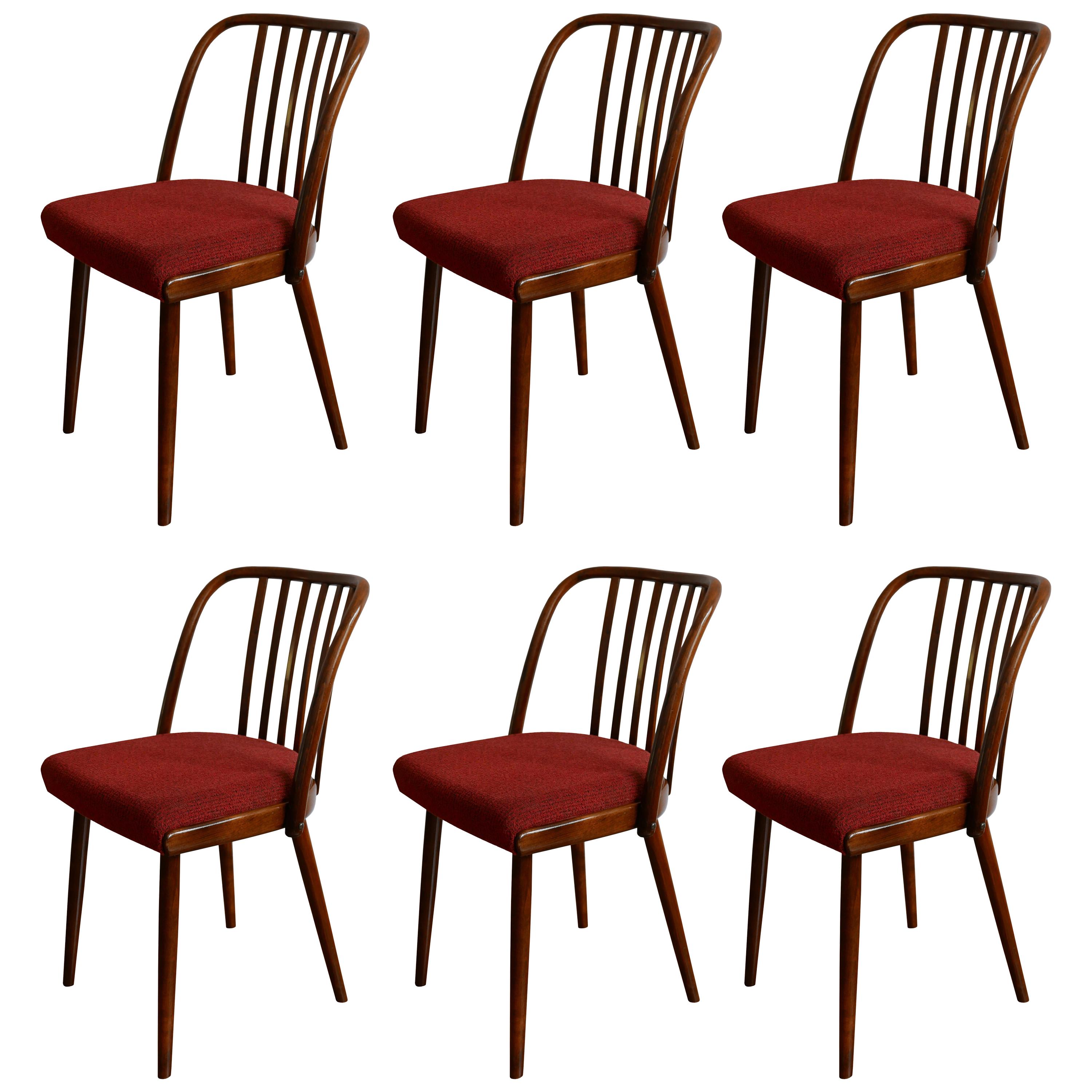 Very Rare Set of Six Dining Chairs by Antonin Suman for Jinota Sobeslav For Sale