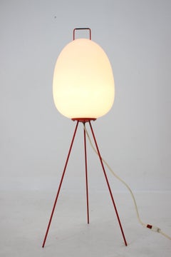 Very Rare Space Age Floor Lamp "Egg" by Josef Hůrka, 1960s