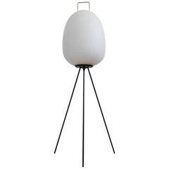 Very Rare Space Age Floor Lamp Egg by Josef Hůrka, 1960s