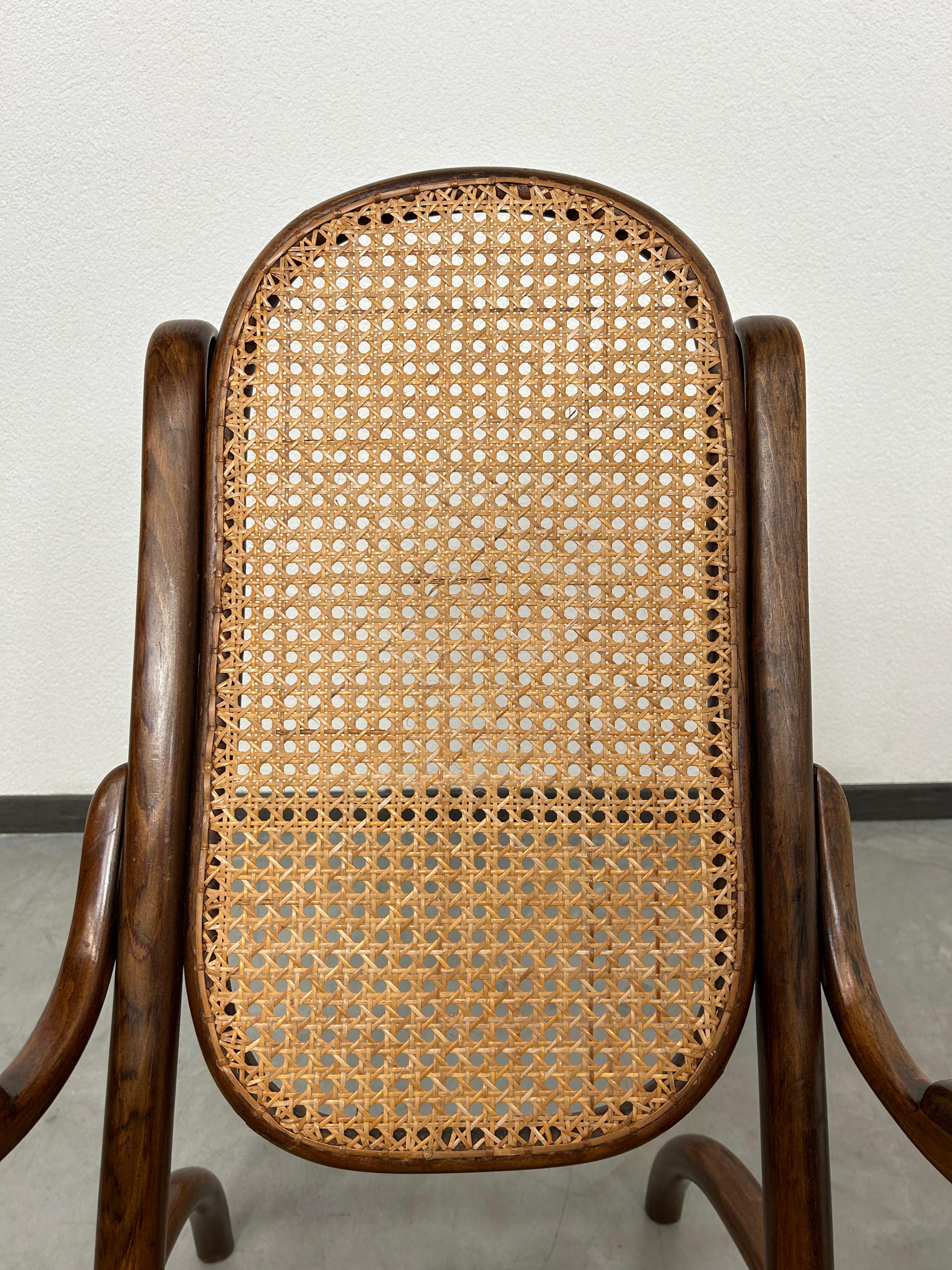 Late 19th Century Very rare Thonet easy chair nr.6331 For Sale