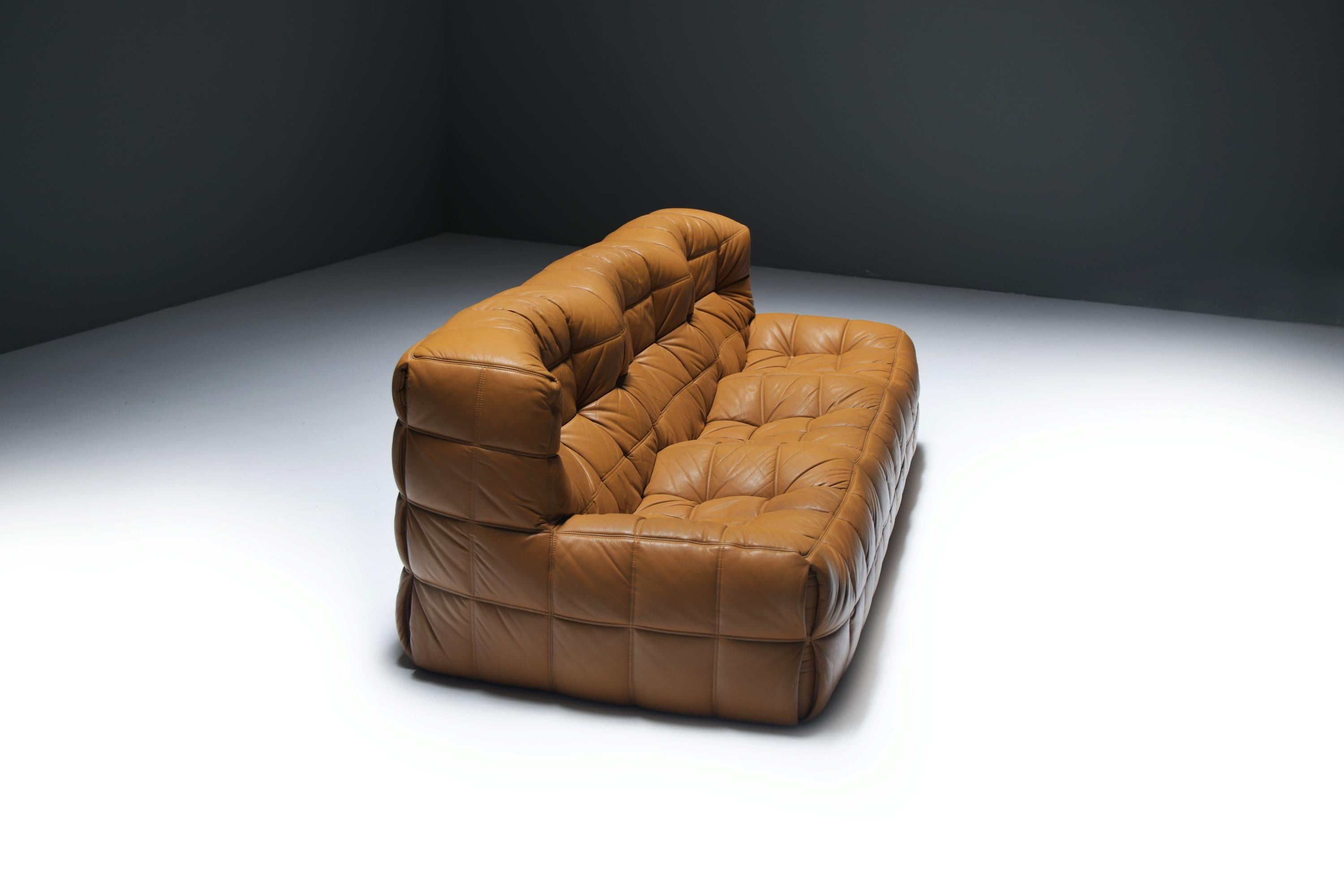 Très rare canapé Kashima 1988 de Michel Ducaroy pour Ligne Roset. en vente 9