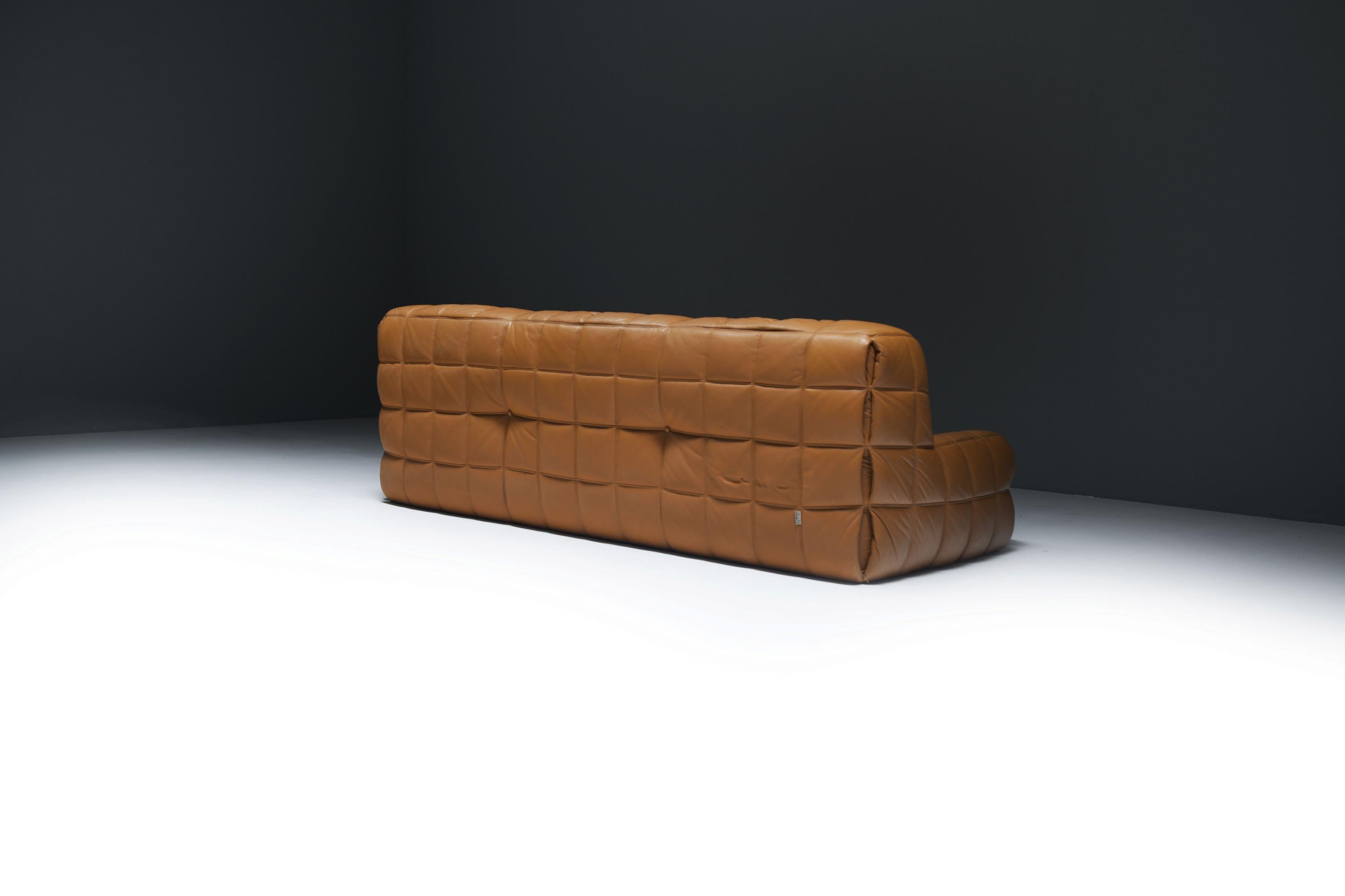 Très rare canapé Kashima 1988 de Michel Ducaroy pour Ligne Roset. en vente 12