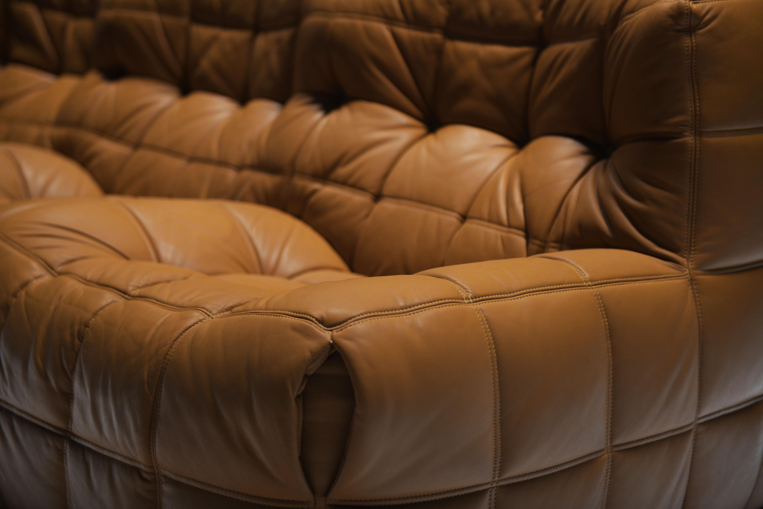 Cuir Très rare canapé Kashima 1988 de Michel Ducaroy pour Ligne Roset. en vente