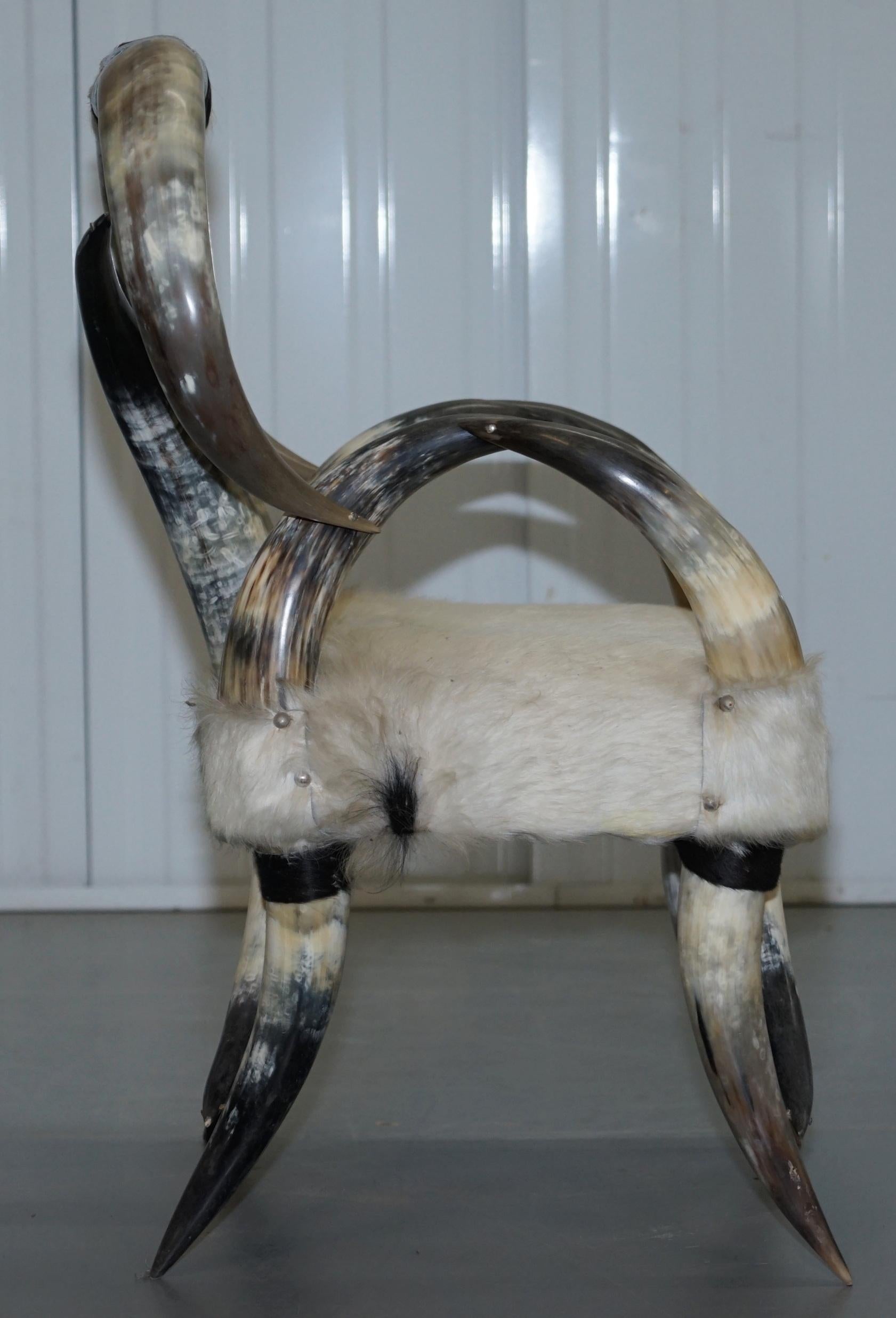 Very Rare Vintage Steer / Long Horn Armchair with Natural Leather Upholstery 3