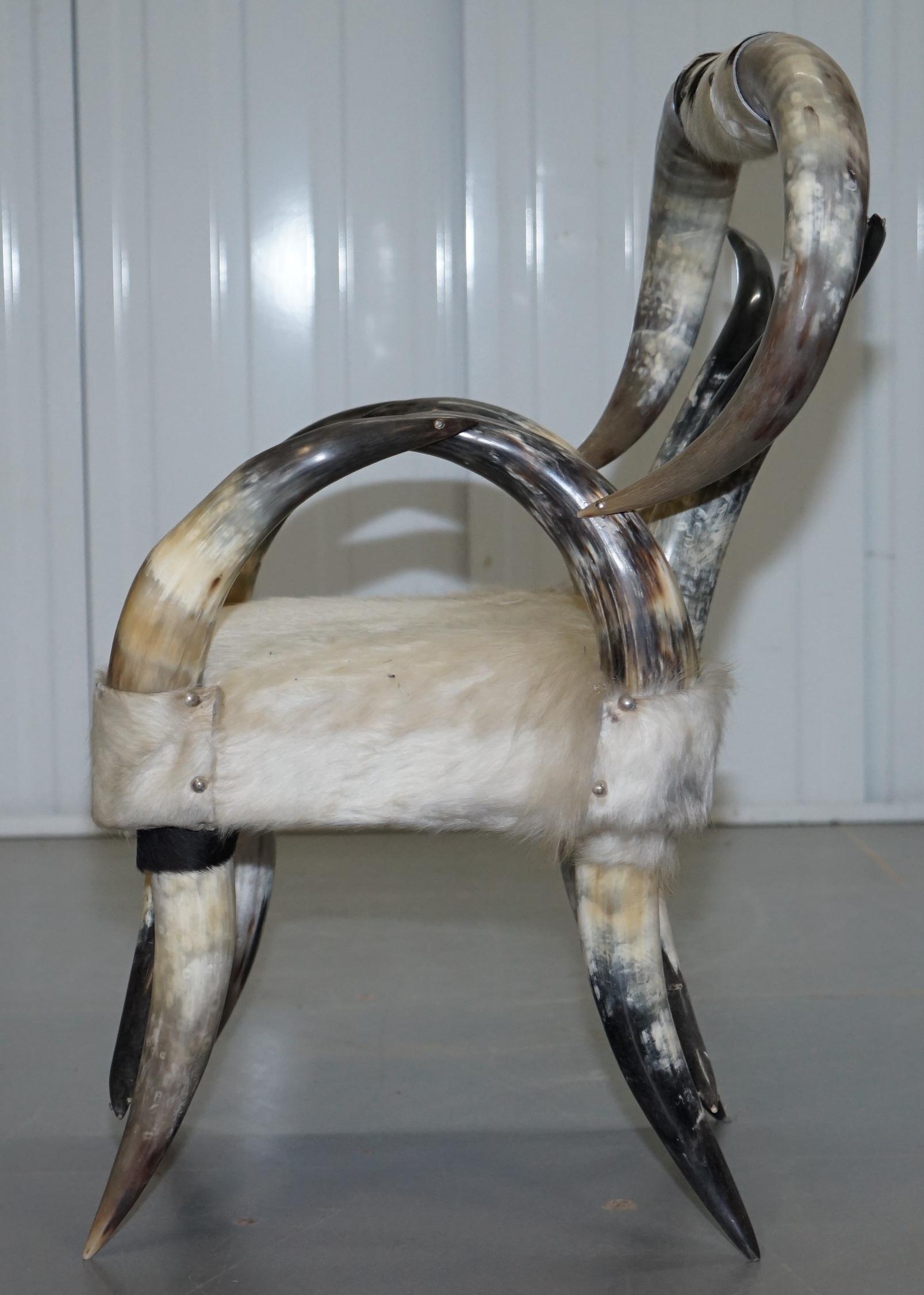 Very Rare Vintage Steer / Long Horn Armchair with Natural Leather Upholstery 8