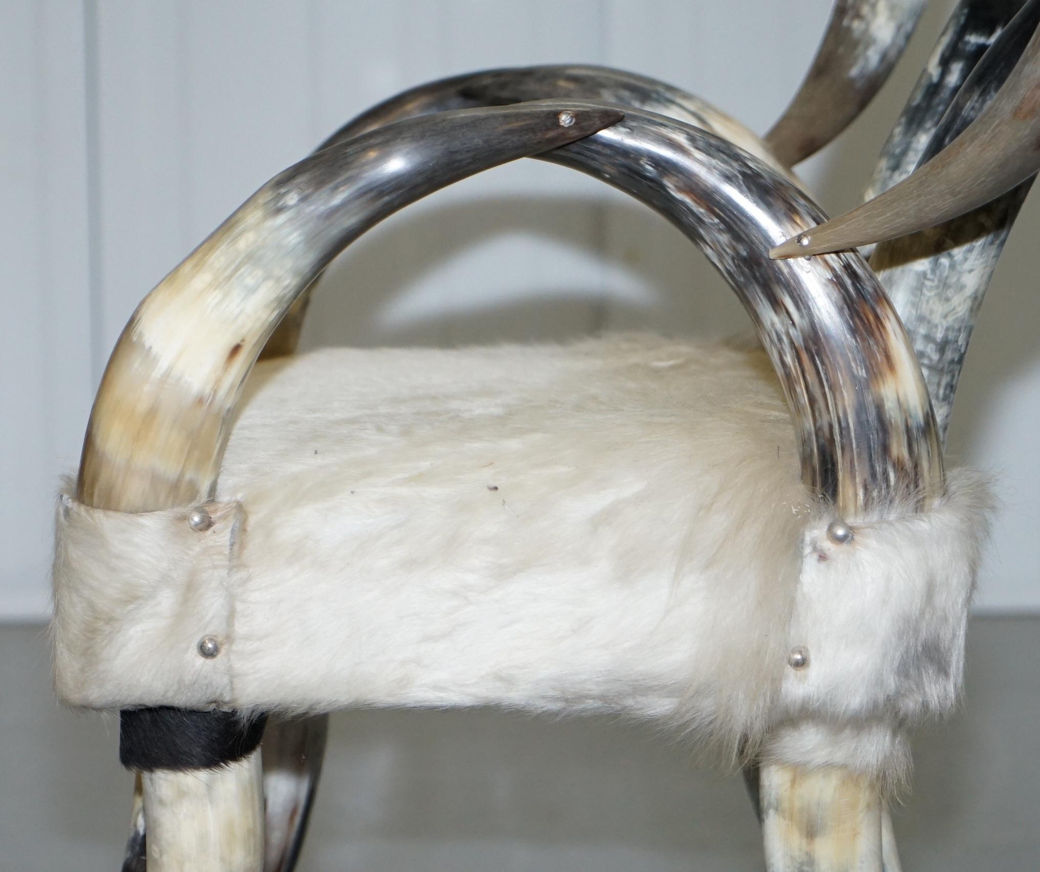 Very Rare Vintage Steer / Long Horn Armchair with Natural Leather Upholstery 8