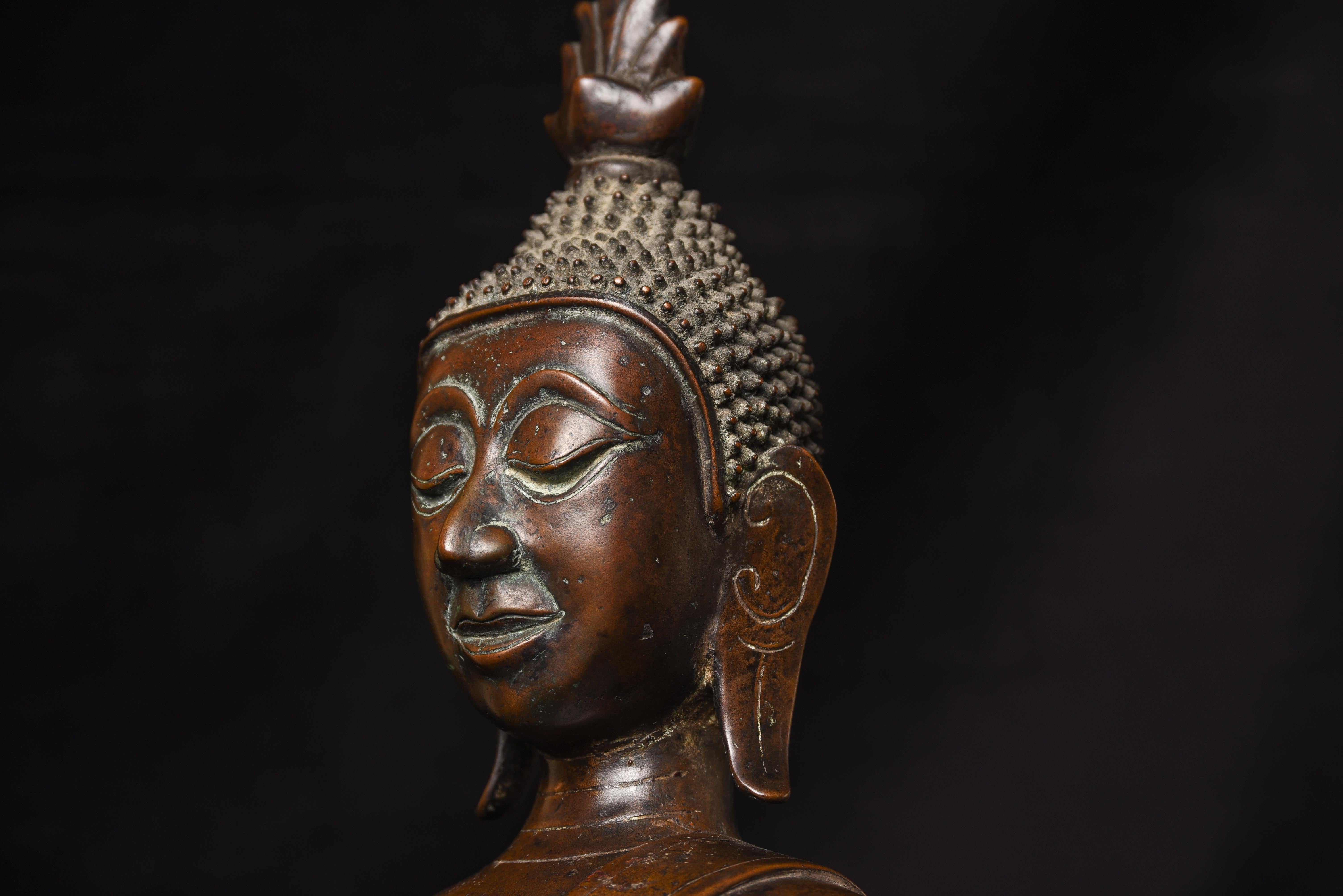 Un Buddha molto particolare del XVIII secolo proveniente dal regno di Nan. in vendita 6