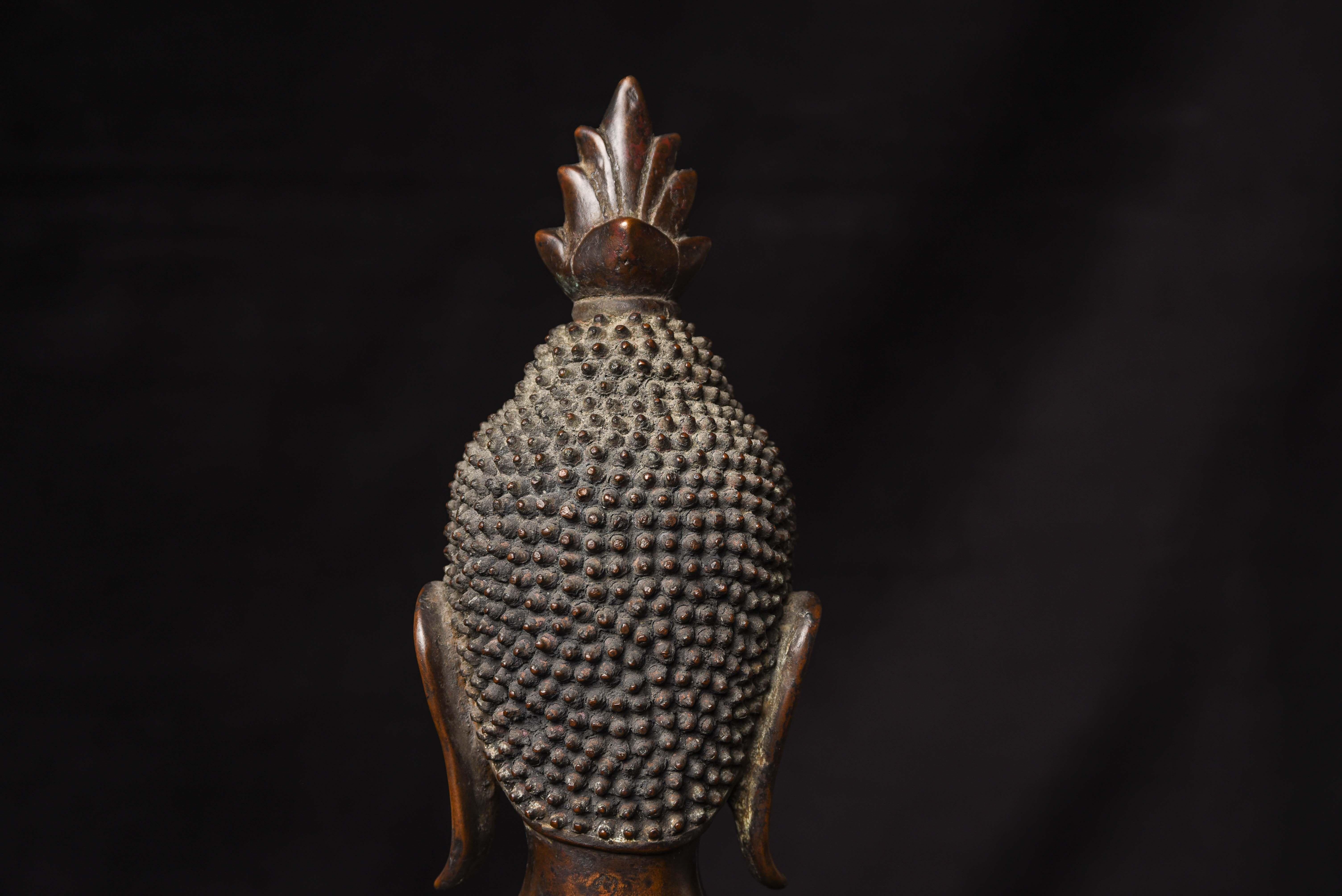 Un Buddha molto particolare del XVIII secolo proveniente dal regno di Nan. in vendita 10