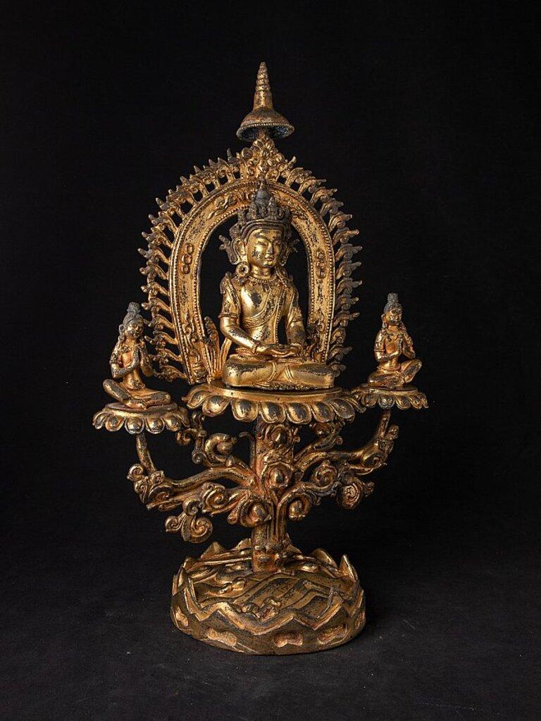 Very Special Antique Nepali Buddha Statue from Nepal For Sale 4