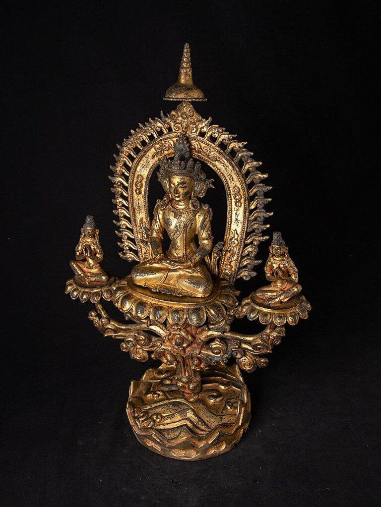 Very Special Antique Nepali Buddha Statue from Nepal For Sale 7