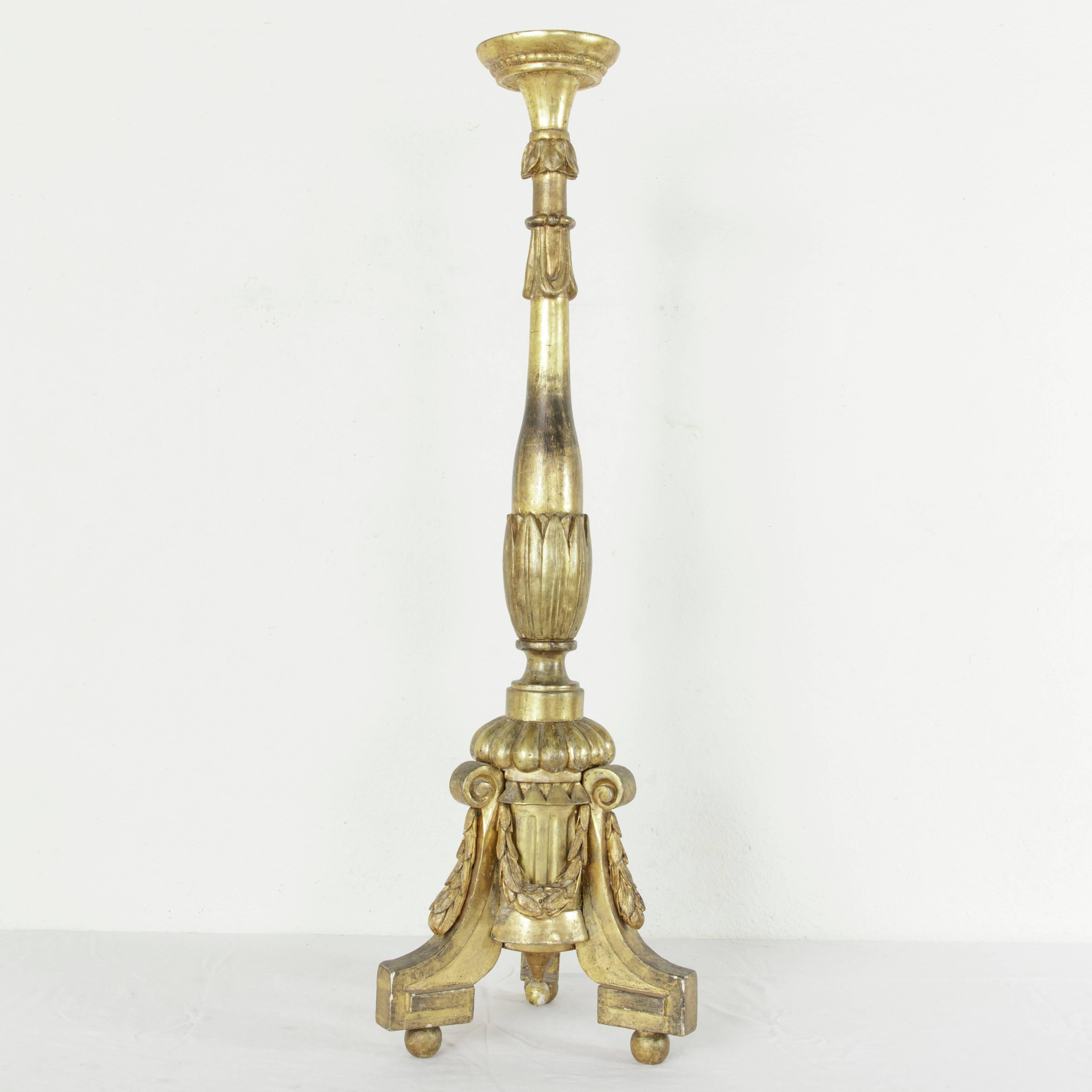 Very Tall 19th Century French Louis XVI Style Giltwood Pricket Candlestick 2