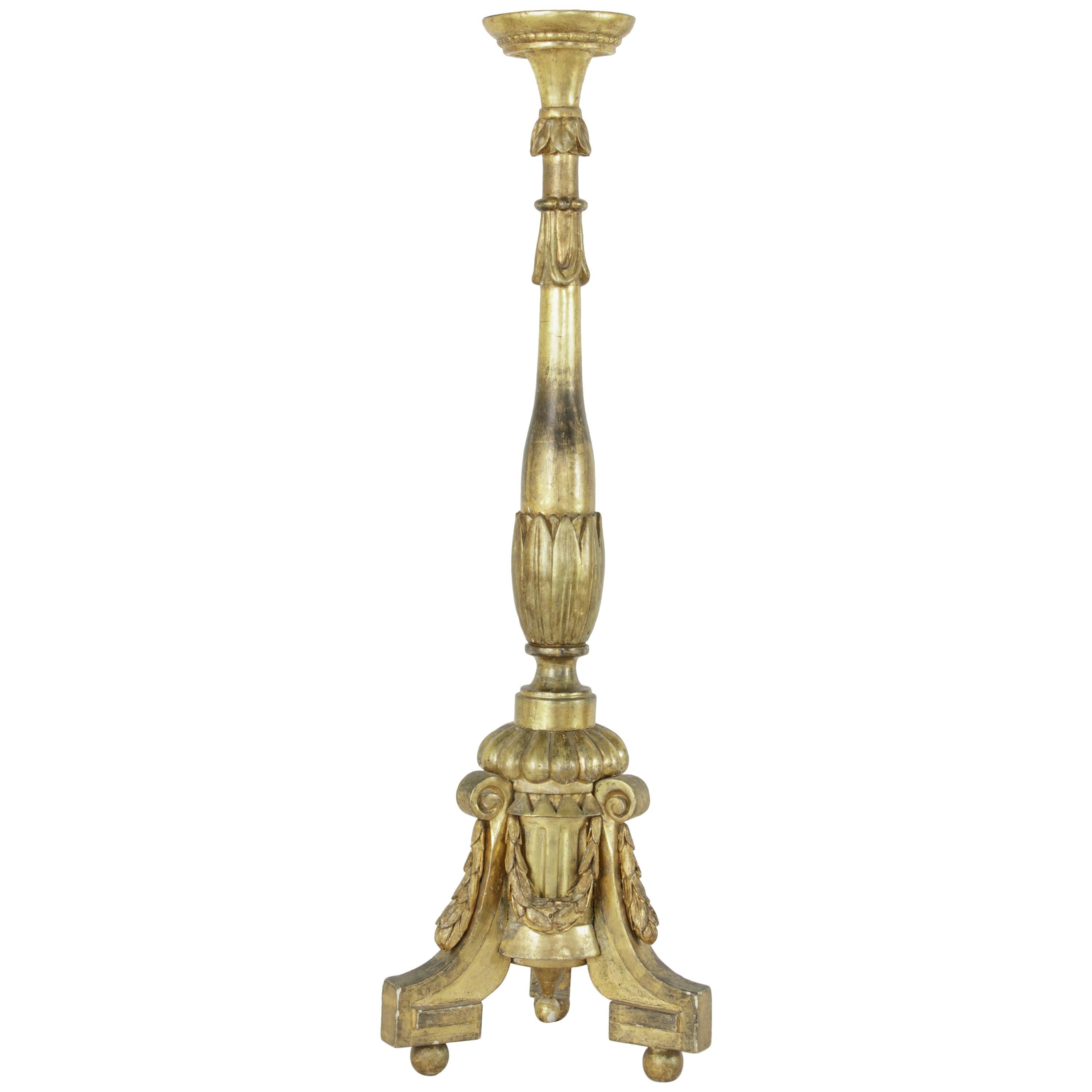 Very Tall 19th Century French Louis XVI Style Giltwood Pricket Candlestick