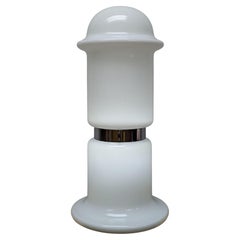 Vintage Very Tall Midcentury Karel Volf Designed Loor Lamp, White