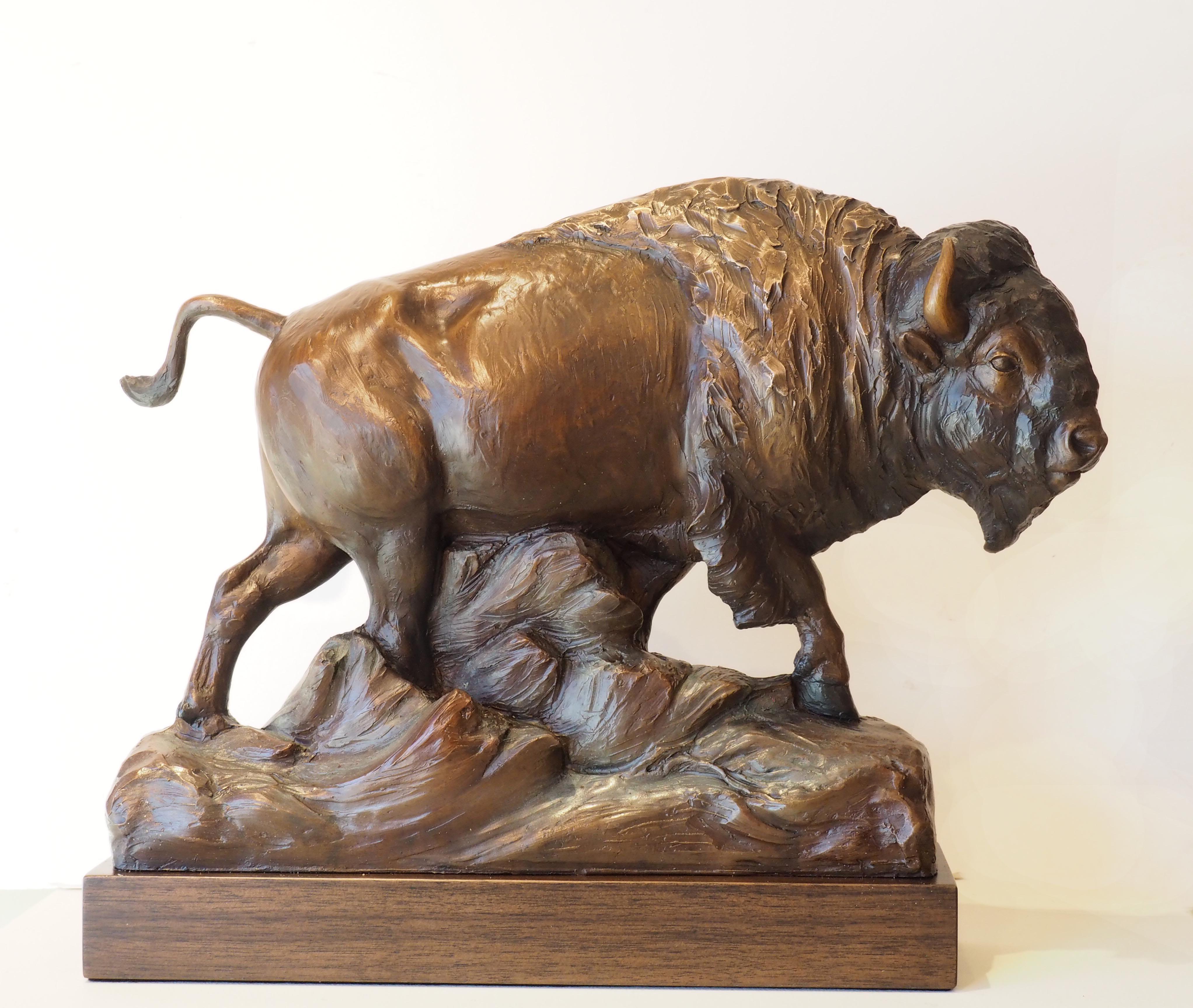 bronze buffalo statue