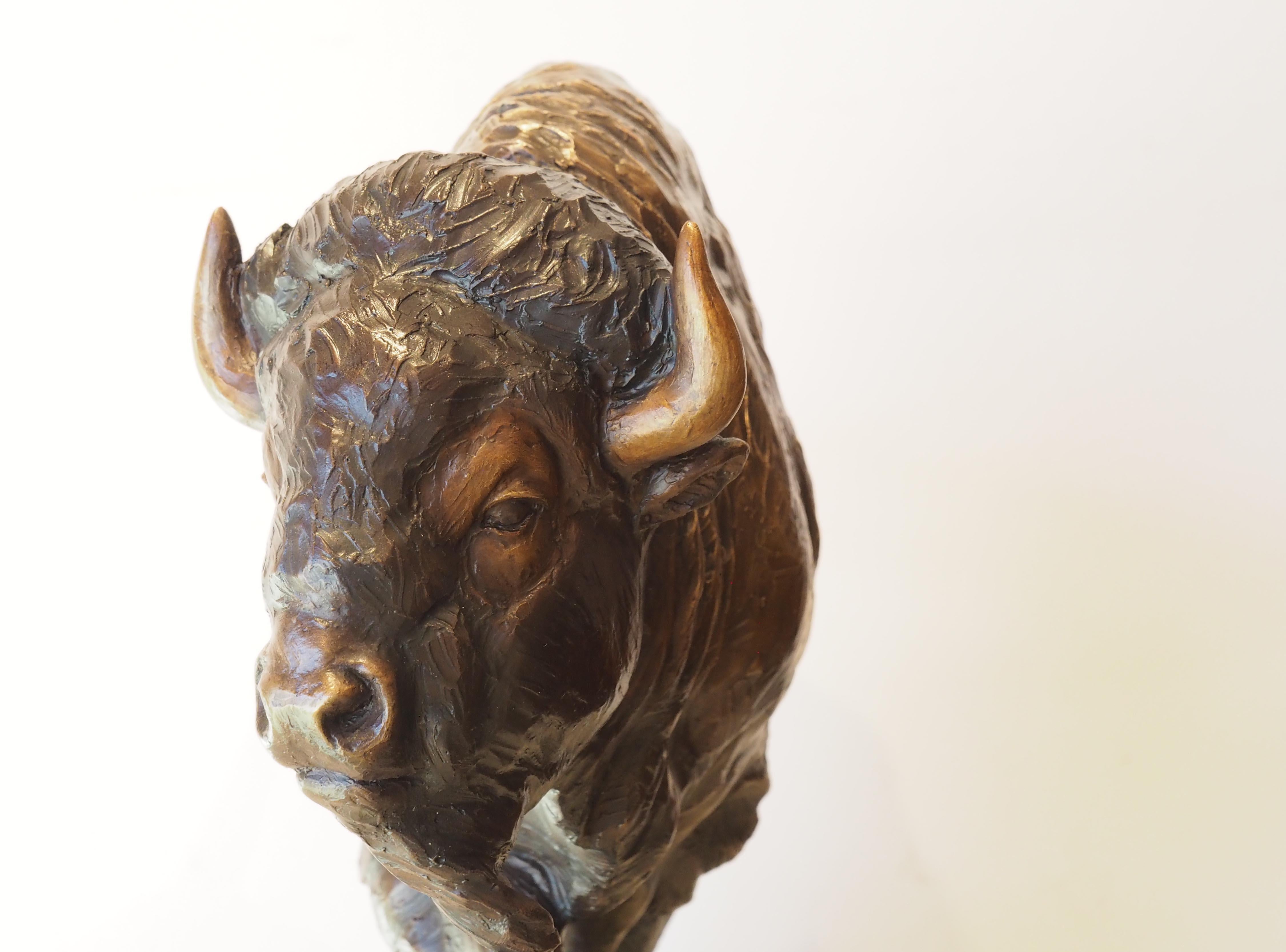 buffalo bronze