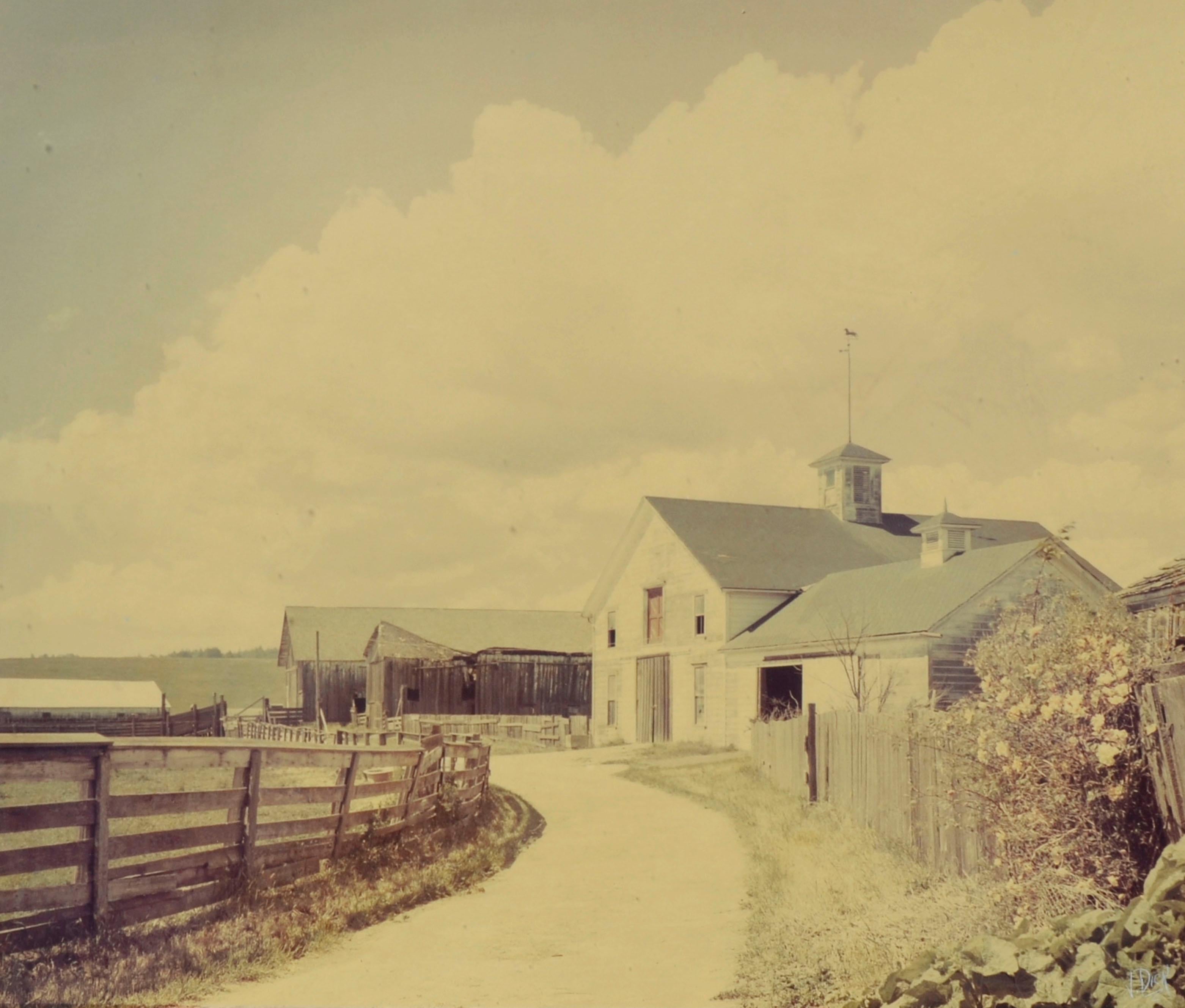 Wilder Ranch Landschaft Fotografie aus der Mitte des Jahrhunderts – Photograph von Vester Dick