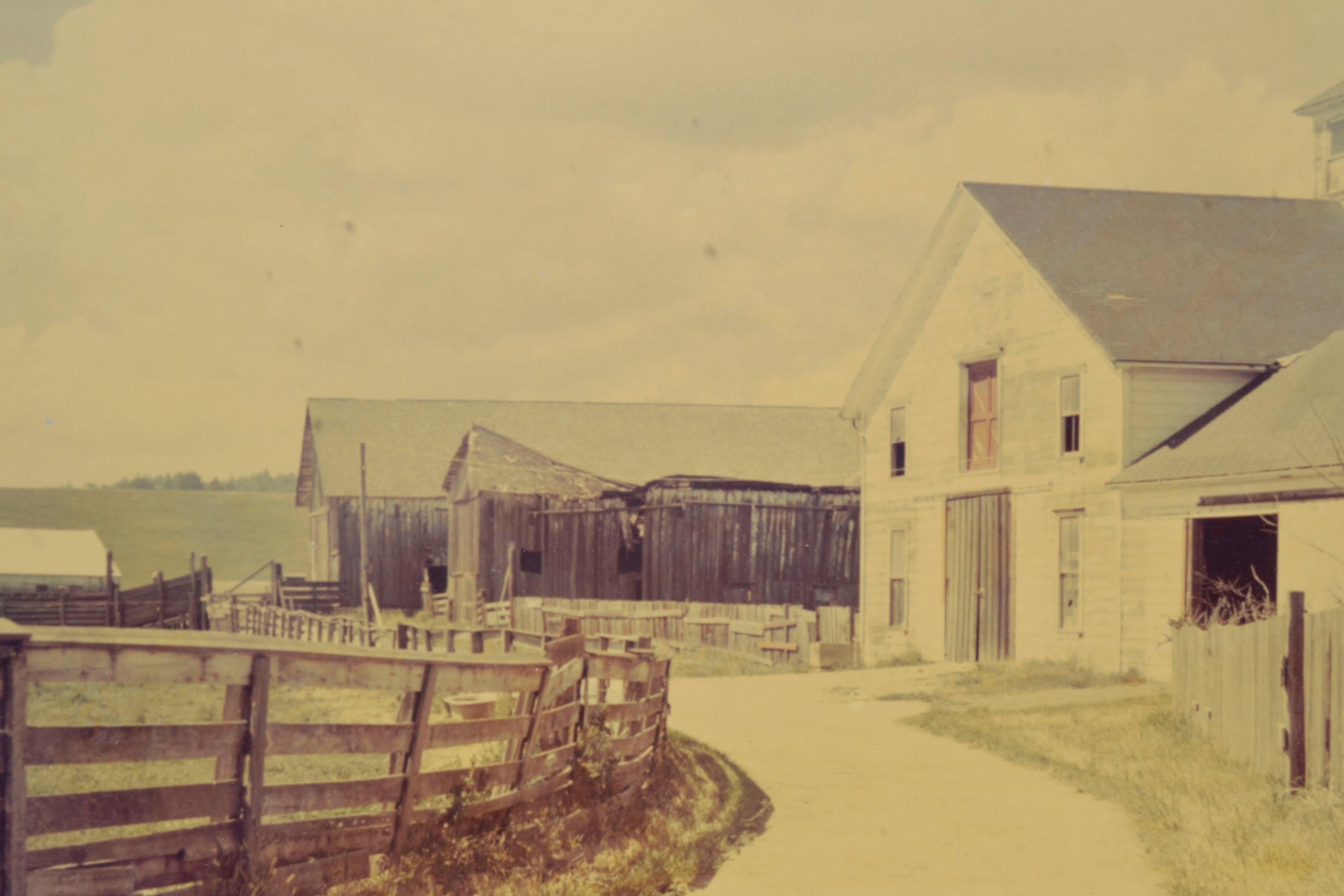 Wilder Ranch Landschaft Fotografie aus der Mitte des Jahrhunderts (Amerikanischer Impressionismus), Photograph, von Vester Dick